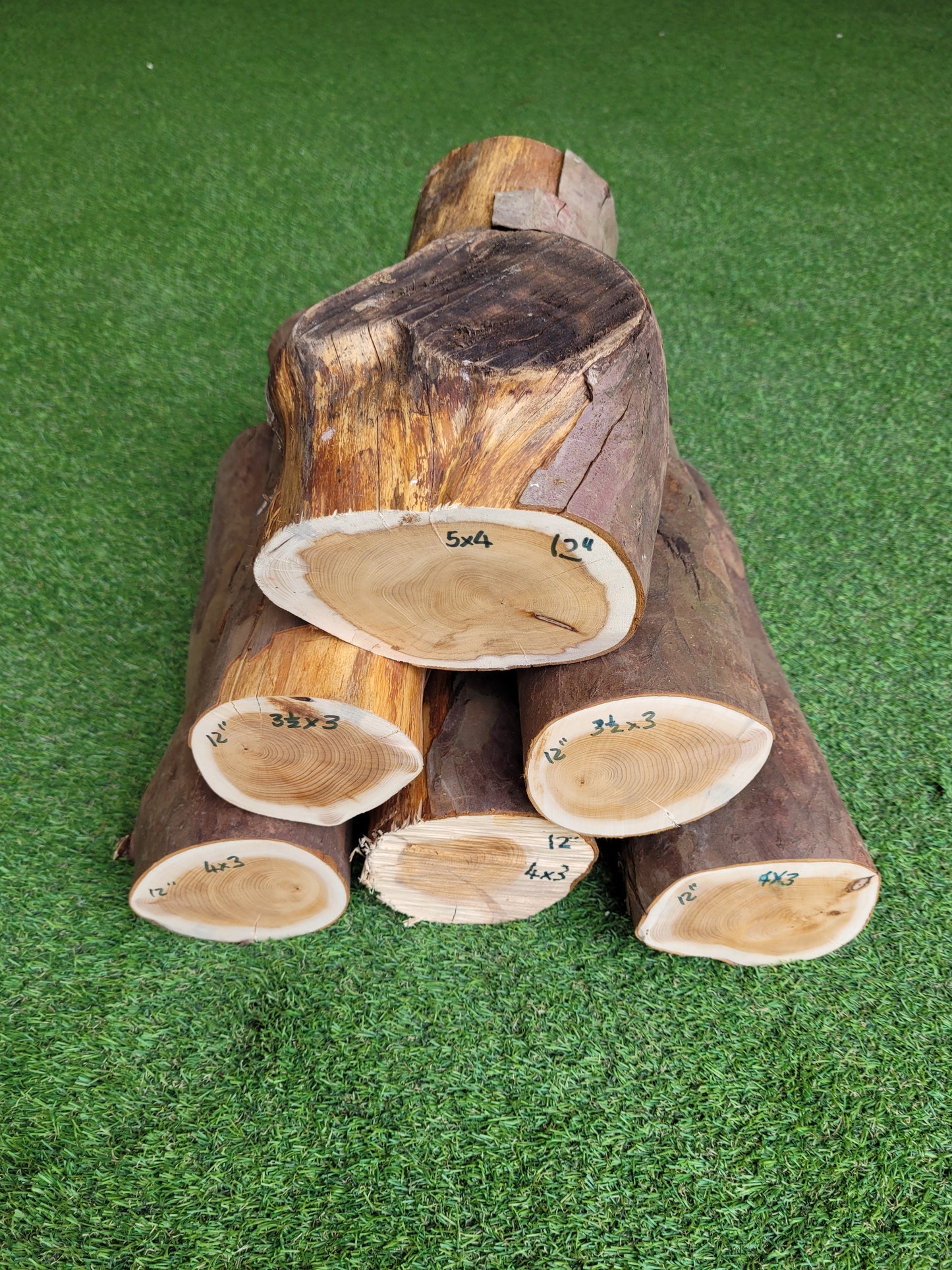 Yew Logs Woodturning Log Blank 12 Inches Long