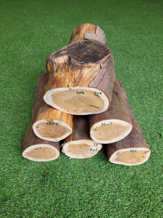 Yew Logs Woodturning Log Blank 12 Inches Long