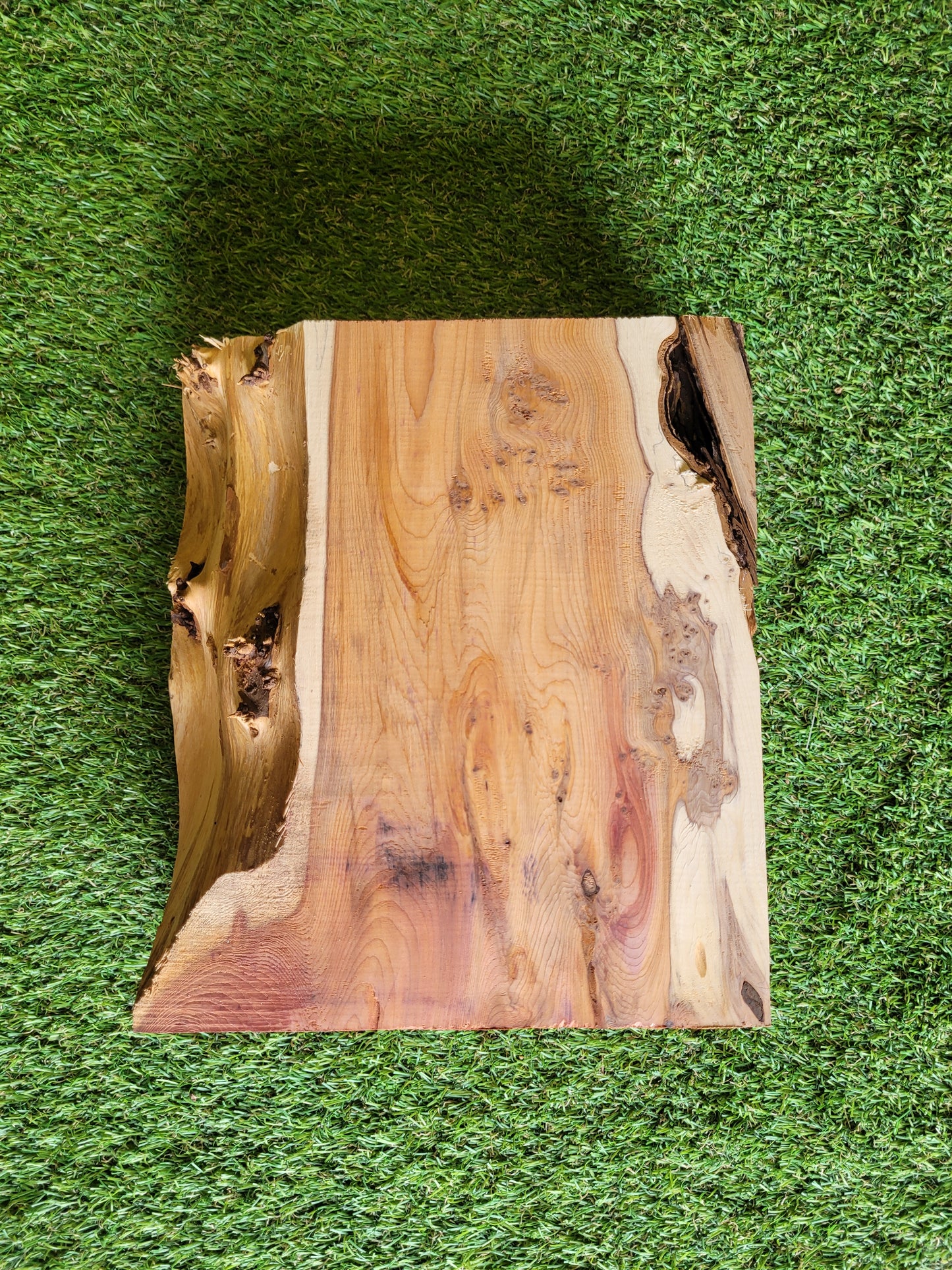 Yew Wood Turning Blank Offcut Live Edge (OF268)