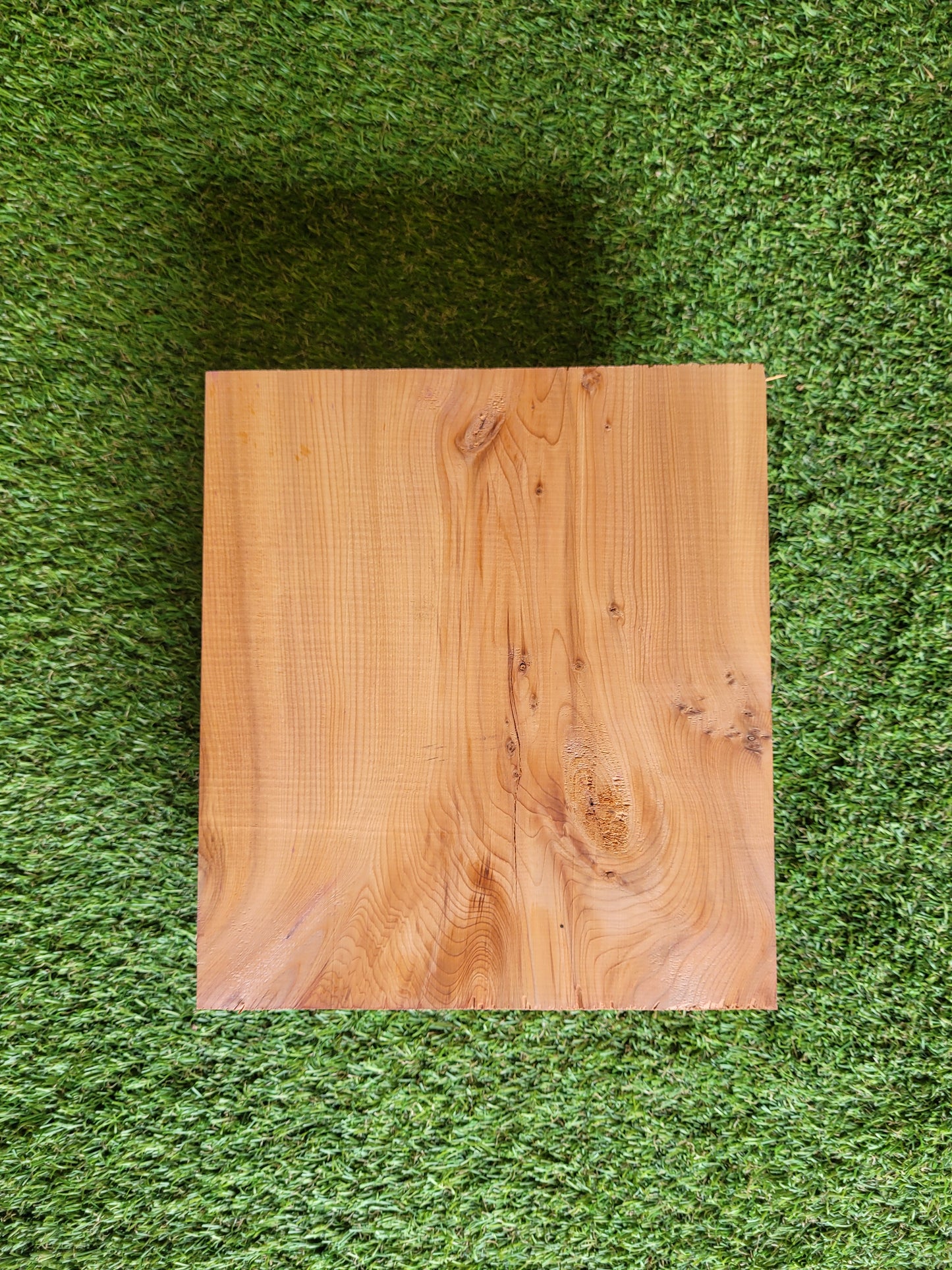 Yew Wood Turning Blank Offcut Live Edge (OF268)