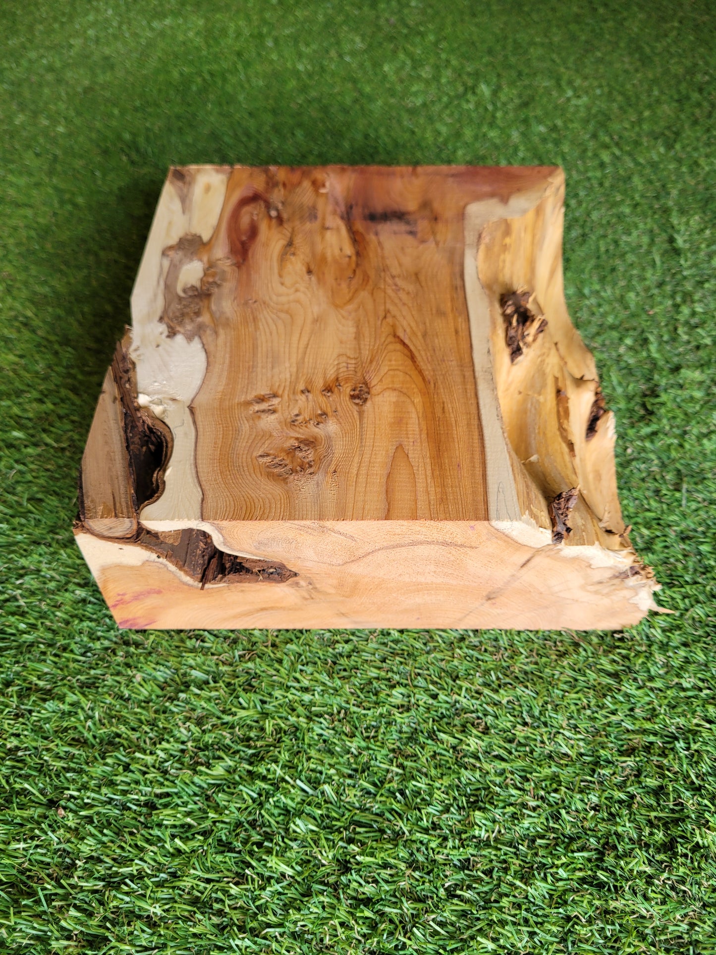 Yew Wood Turning Blank Offcut Live Edge (OF268)