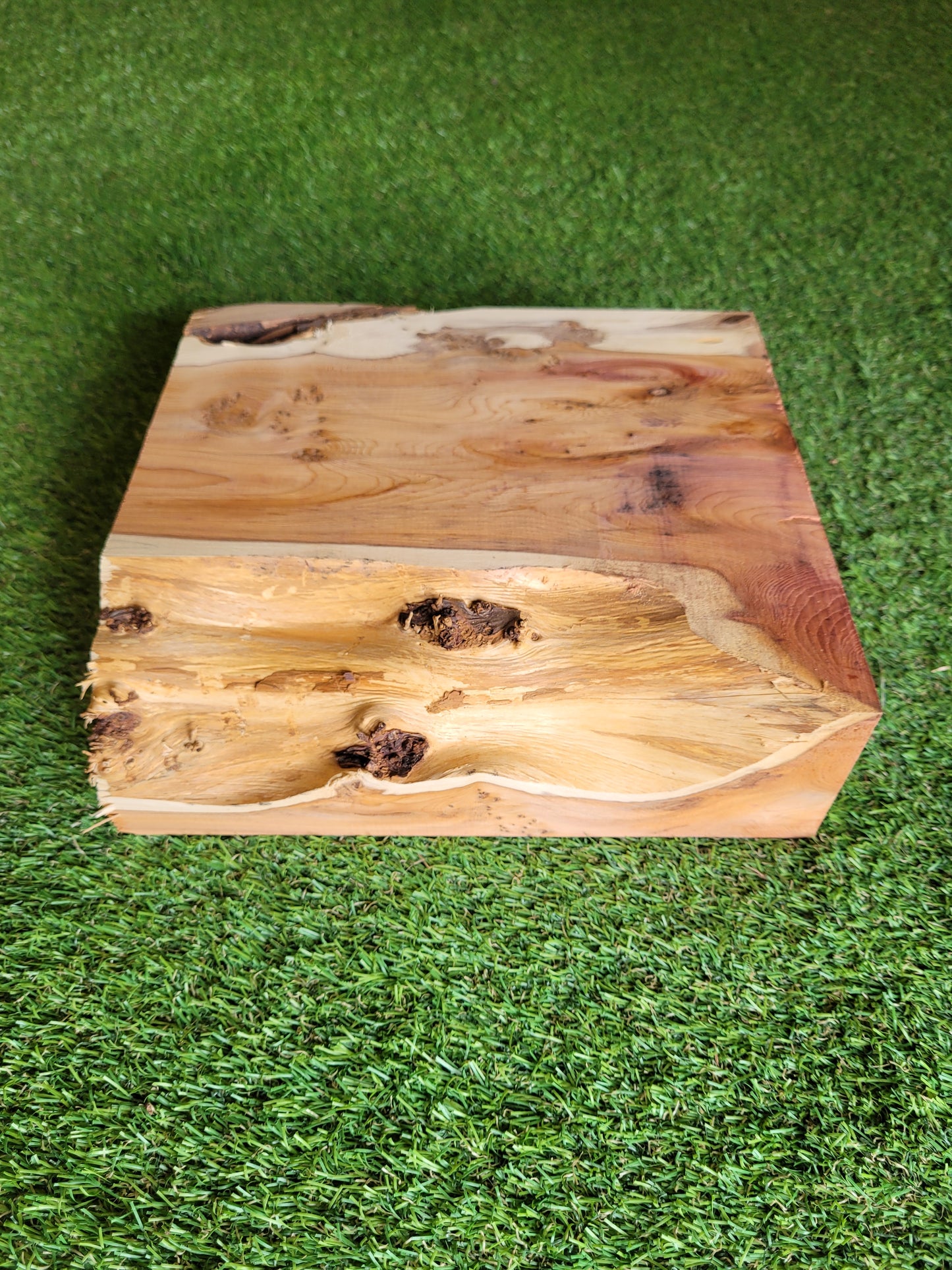 Yew Wood Turning Blank Offcut Live Edge (OF268)