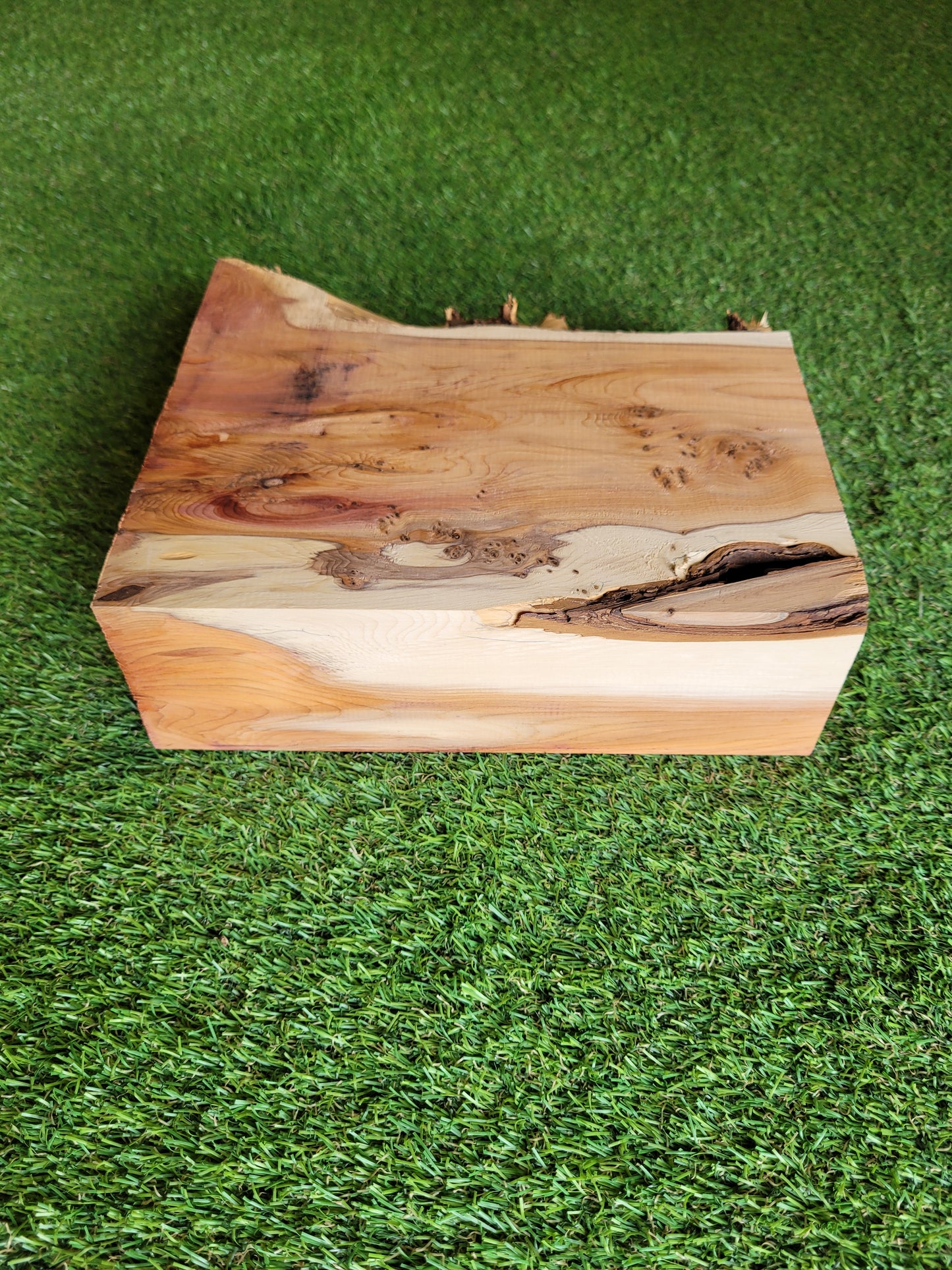 Yew Wood Turning Blank Offcut Live Edge (OF268)