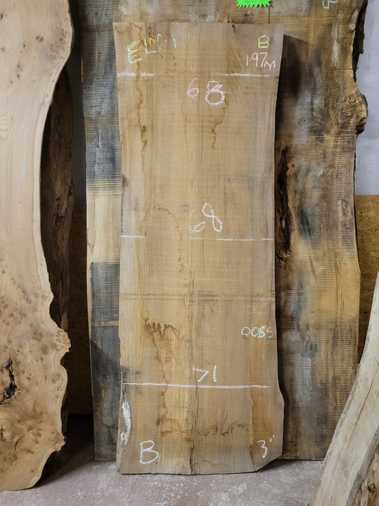 English Elm Hardwood Slab Live Edge 6ft 6" Long (OF270)