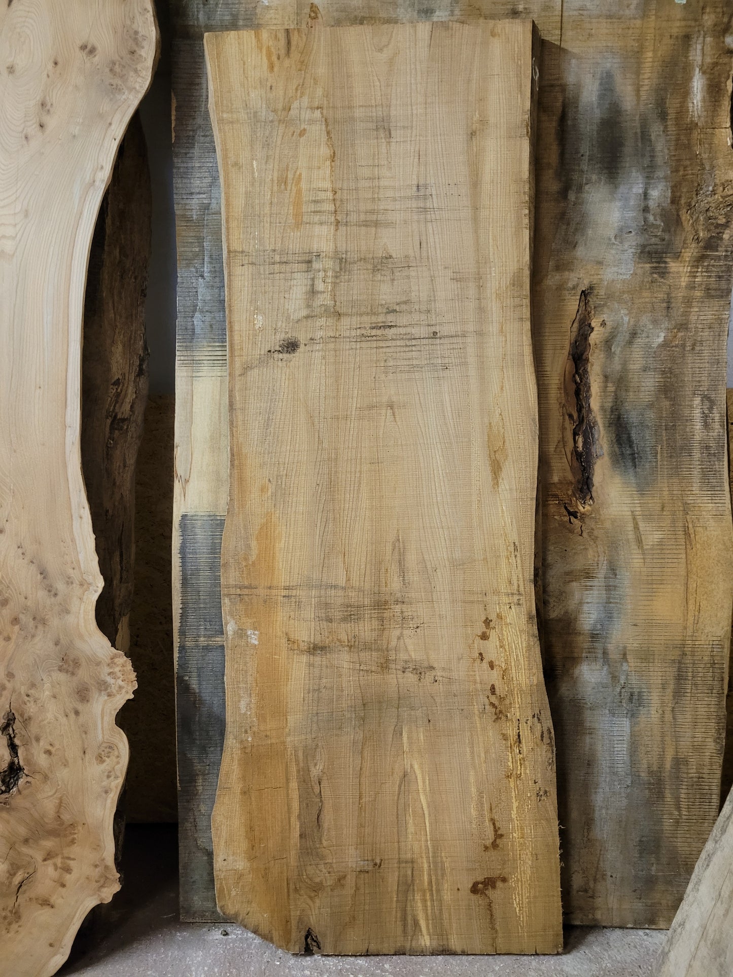 English Elm Hardwood Slab Live Edge 6ft 6" Long (OF270)