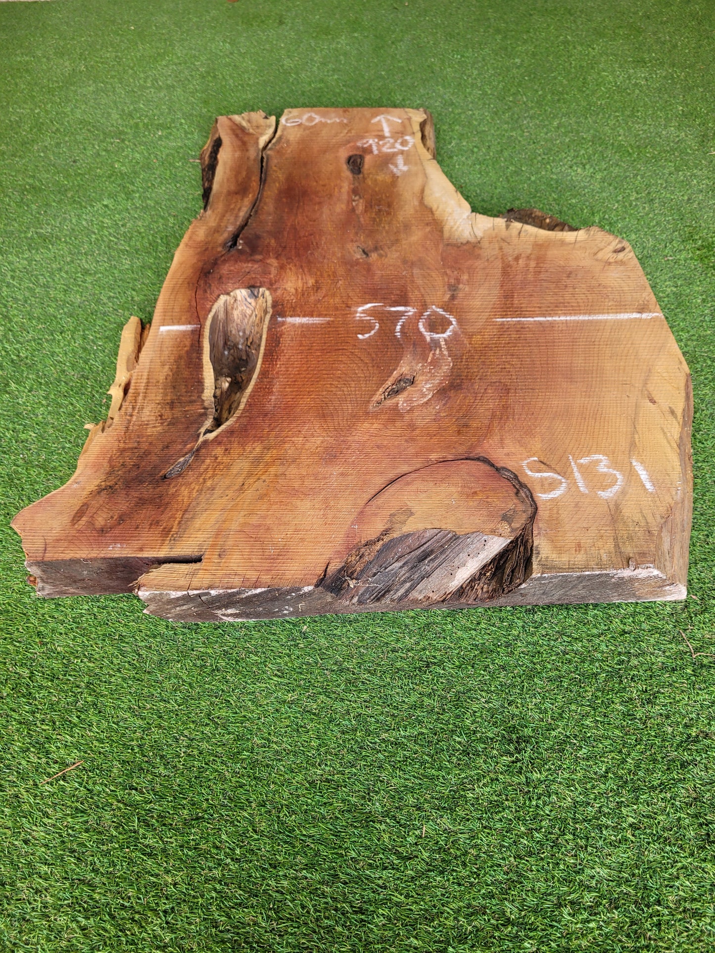 Yew Slab Live Edge 3" Thick (S131)