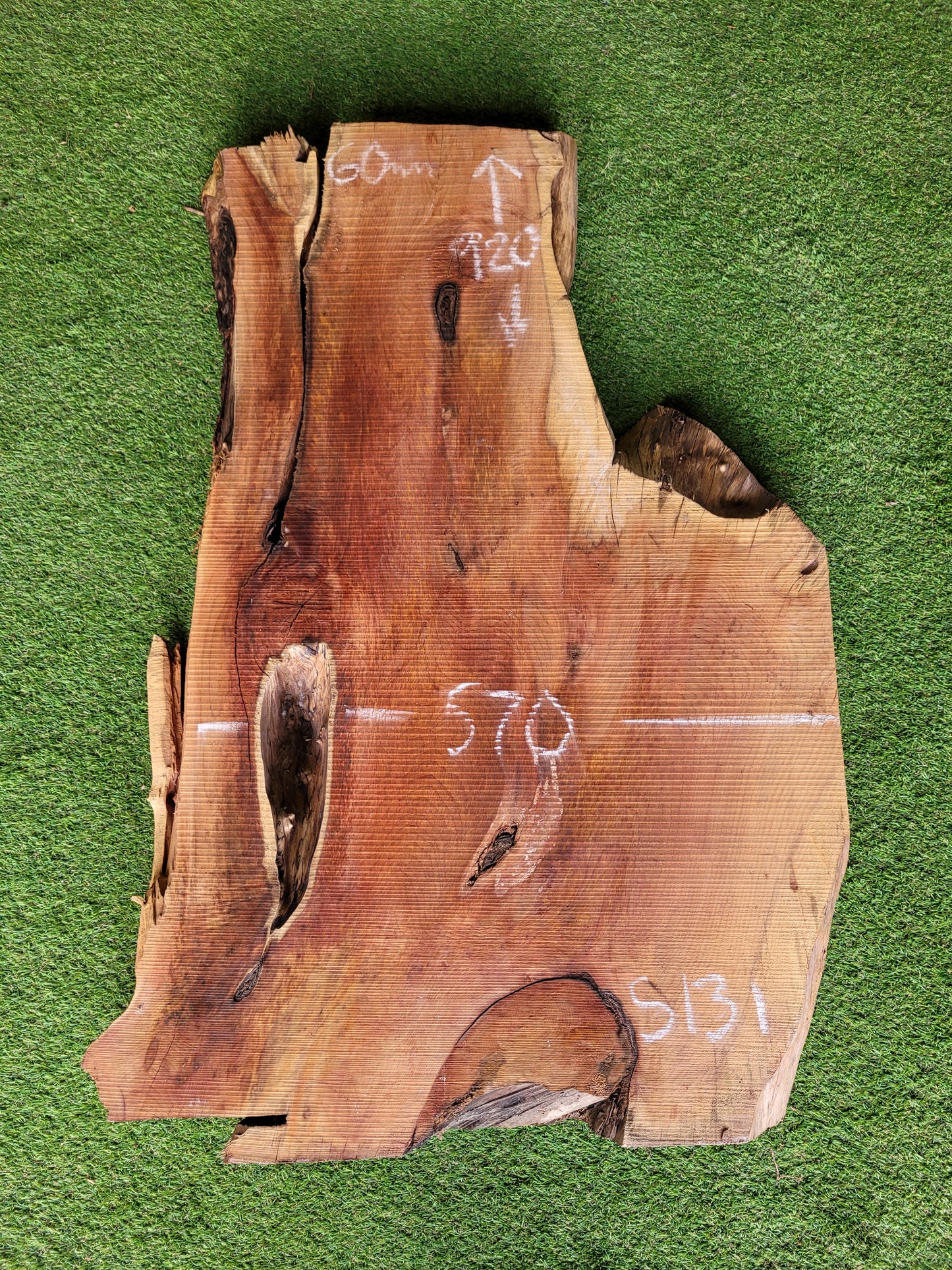 Yew Slab Live Edge 3" Thick (S131)
