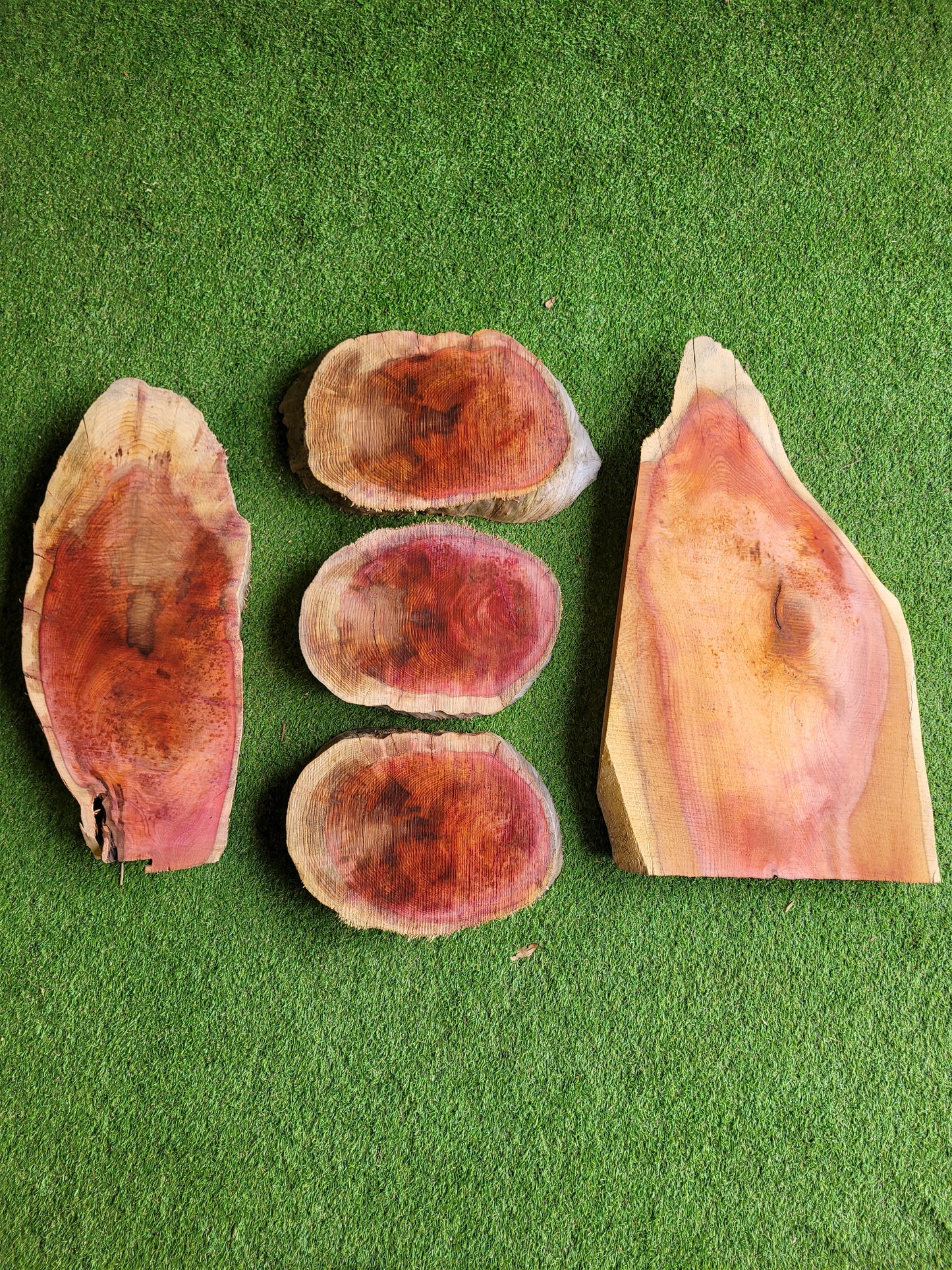 Yew Live Edge Boards Pack 5 Pieces (0050)