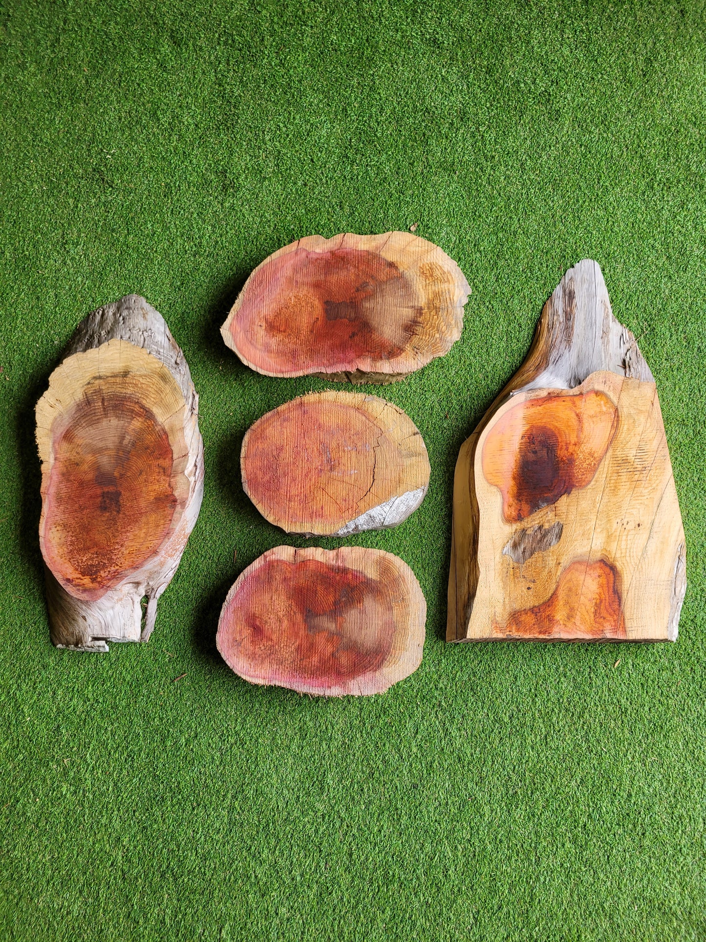 Yew Live Edge Boards Pack 5 Pieces (0050)