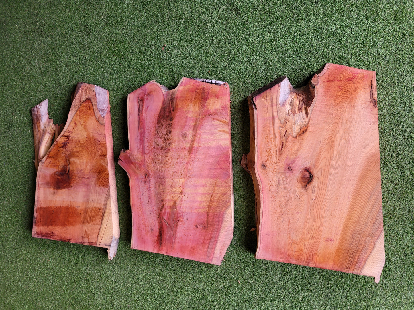 Yew Live Edge Boards Pack of 3 Table Tops (0060)
