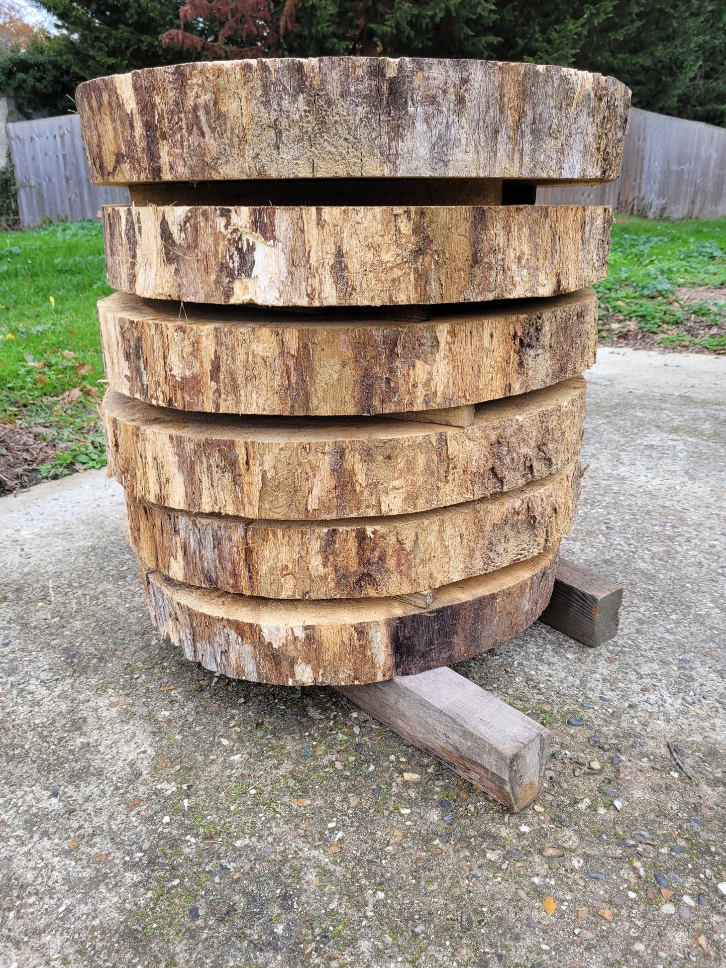 English Oak Cookies Hardwood Round Slabs Air Dried Rustic