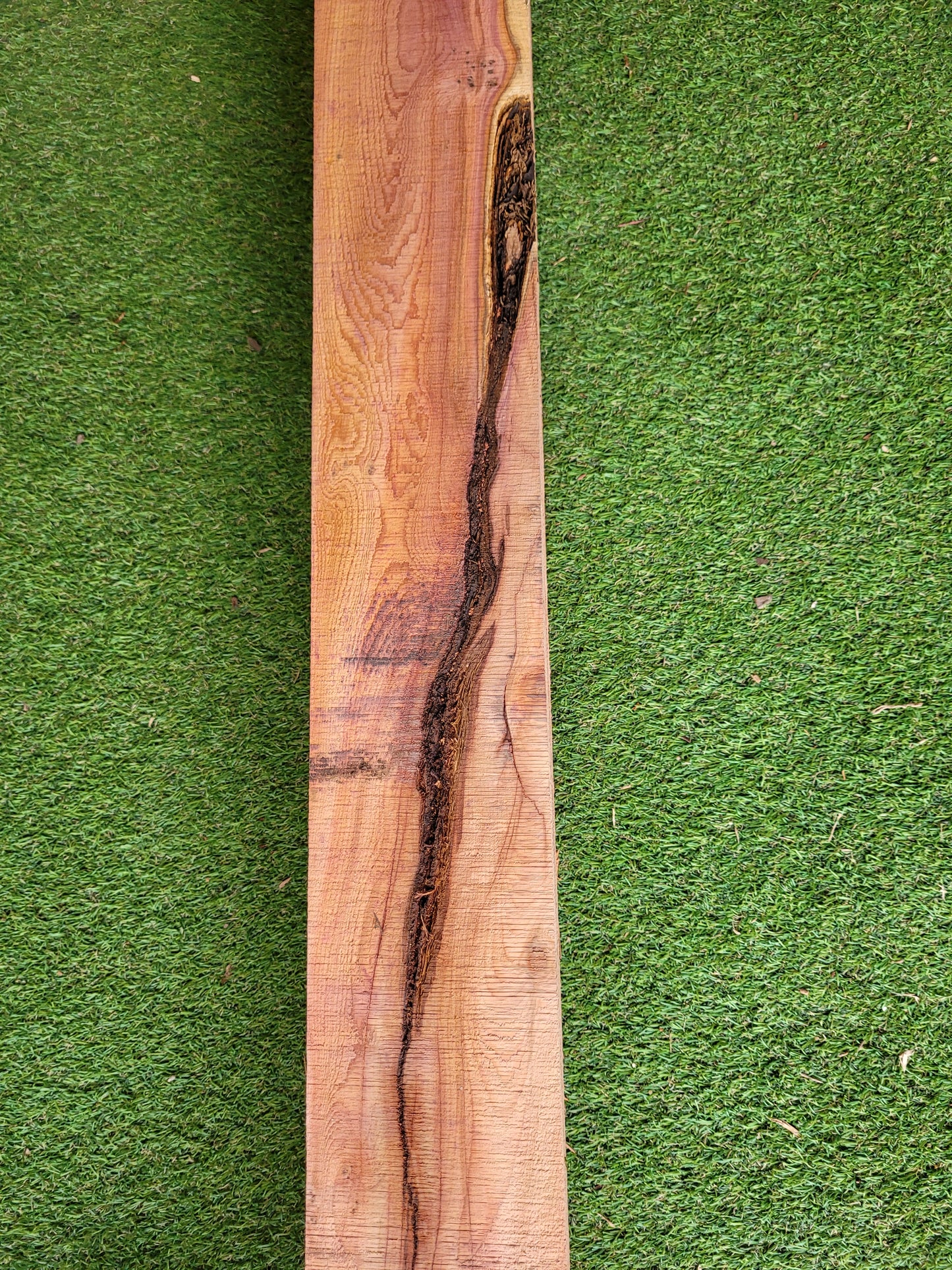 Yew Beam 5" x 4" x 61" Long Rustic