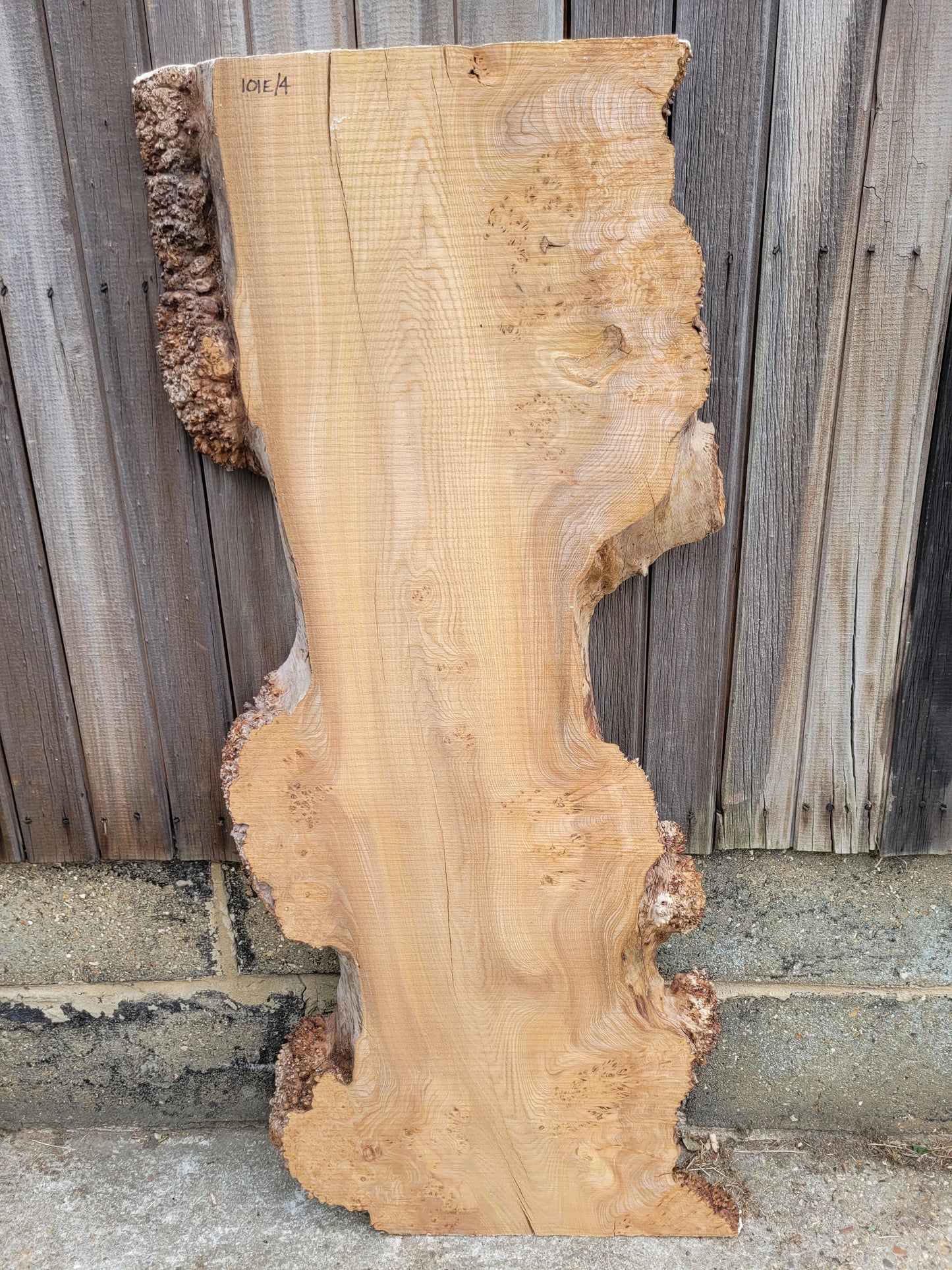 Burr Elm Live Edge Boards (101e/1-5)