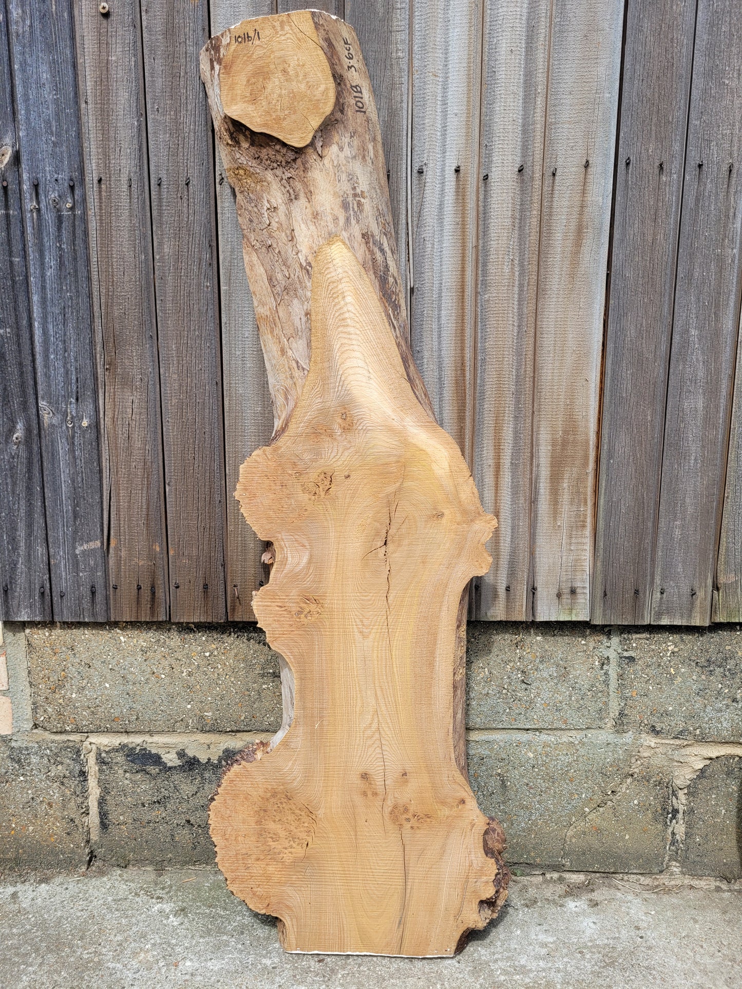 Burr Elm Live Edge Boards (101b/1&2)