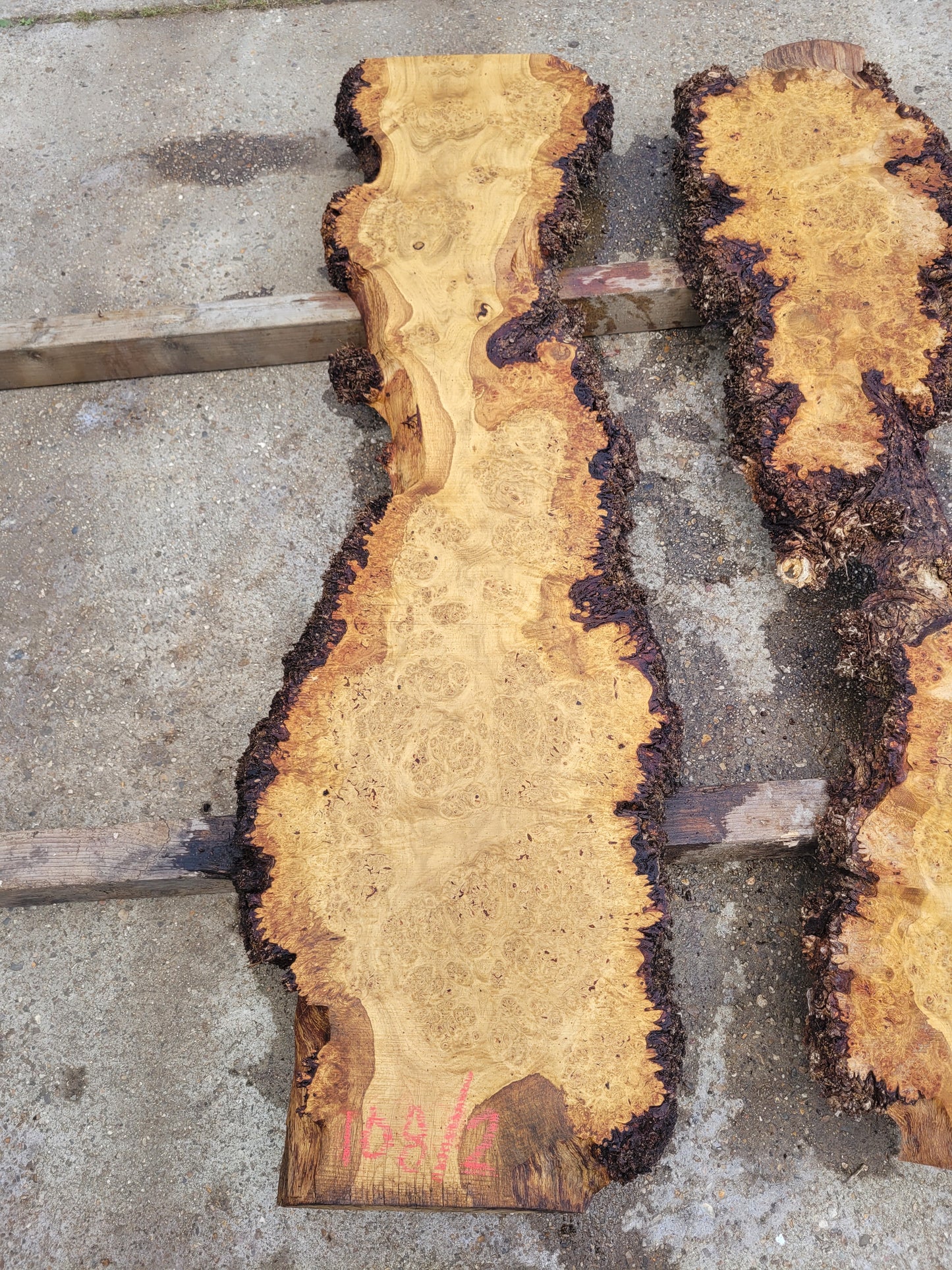 Burr Oak Live Edge Board (108/2)