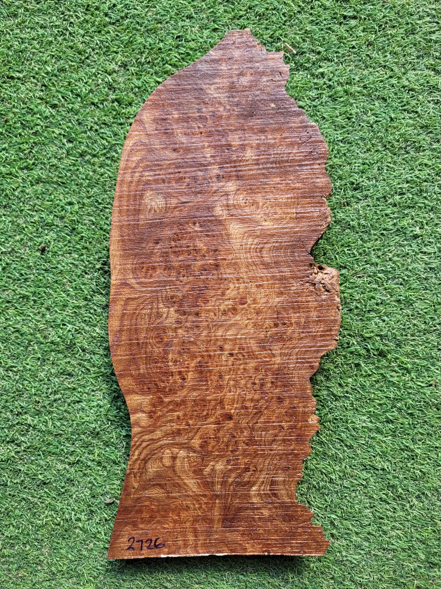 Burr Elm Woodturning Blank 39x17x2.3cm (2726)
