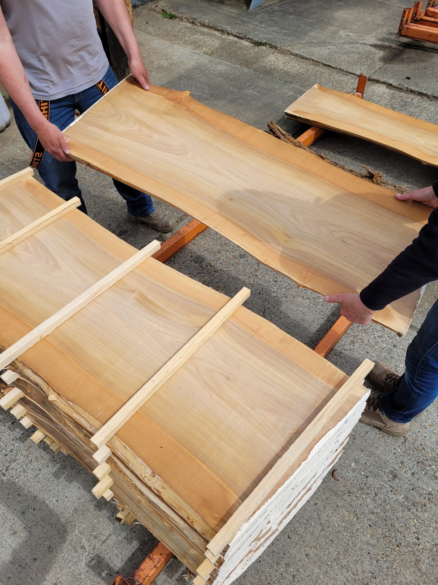 Elm Log 1.5m 22 ft3 Stunning (100)