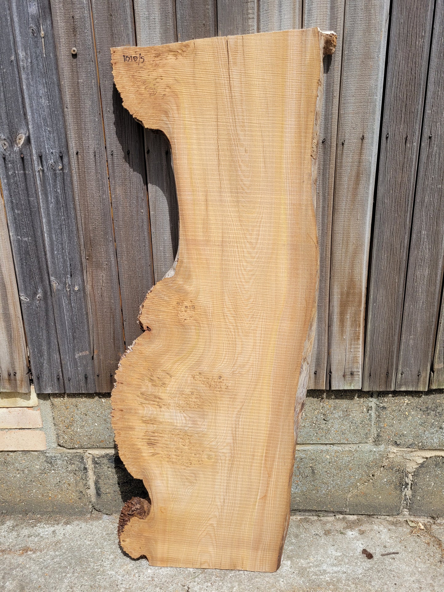 Burr Elm Live Edge Boards (101d/2-7)