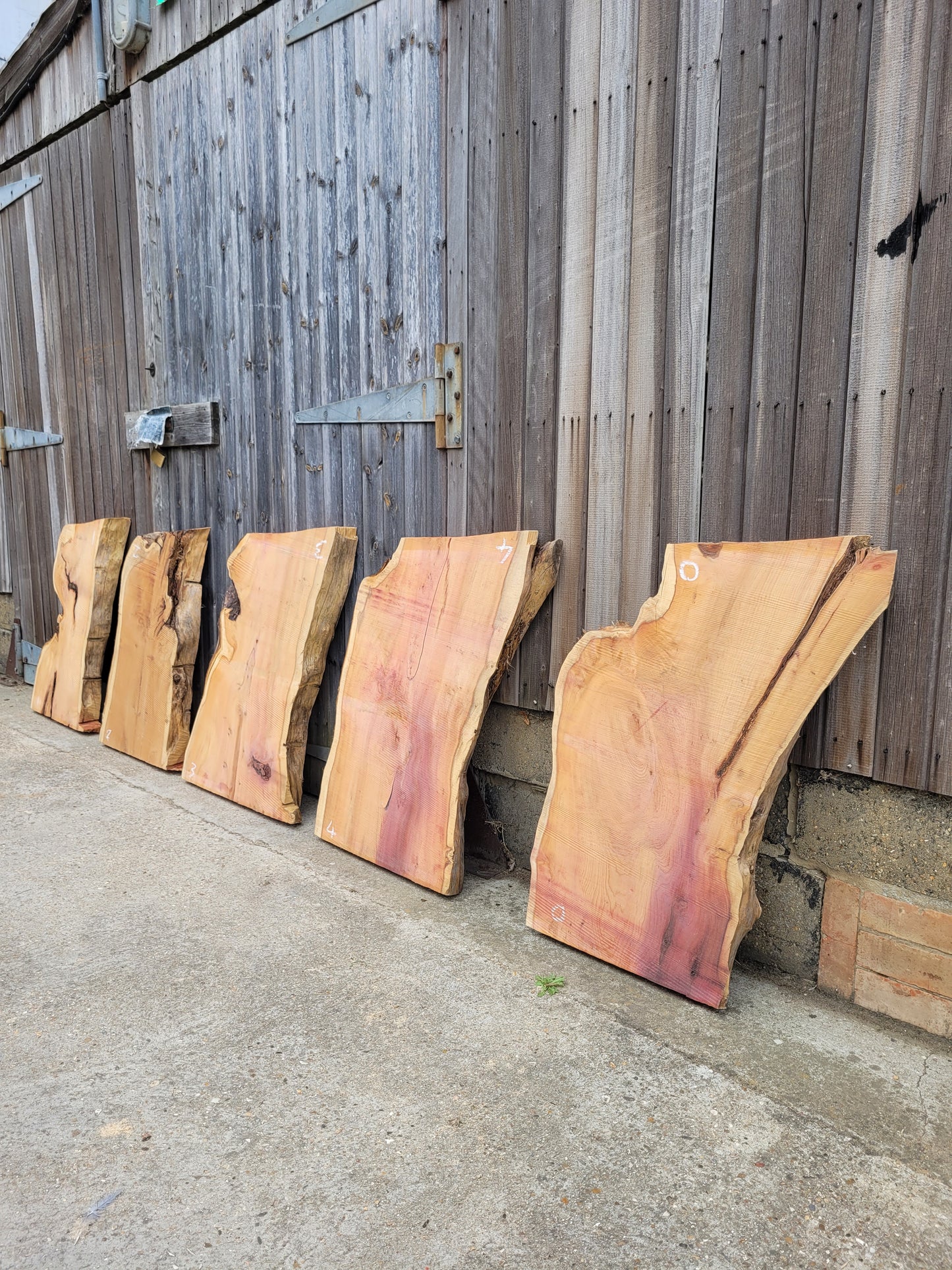 Yew Live Edge Slabs