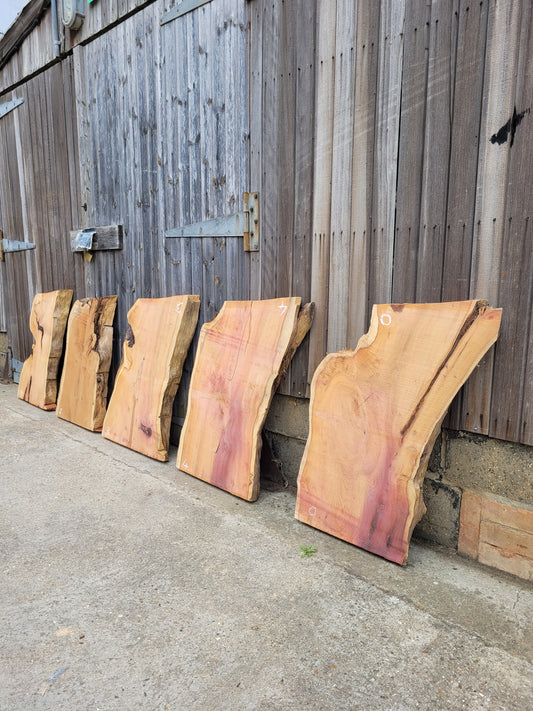 Yew Live Edge Slabs