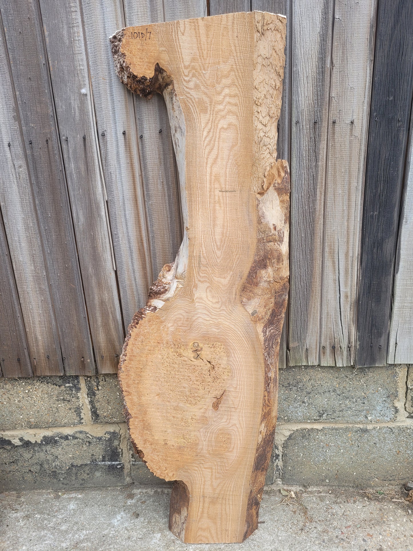 Burr Elm Live Edge Boards (101d/2-7)
