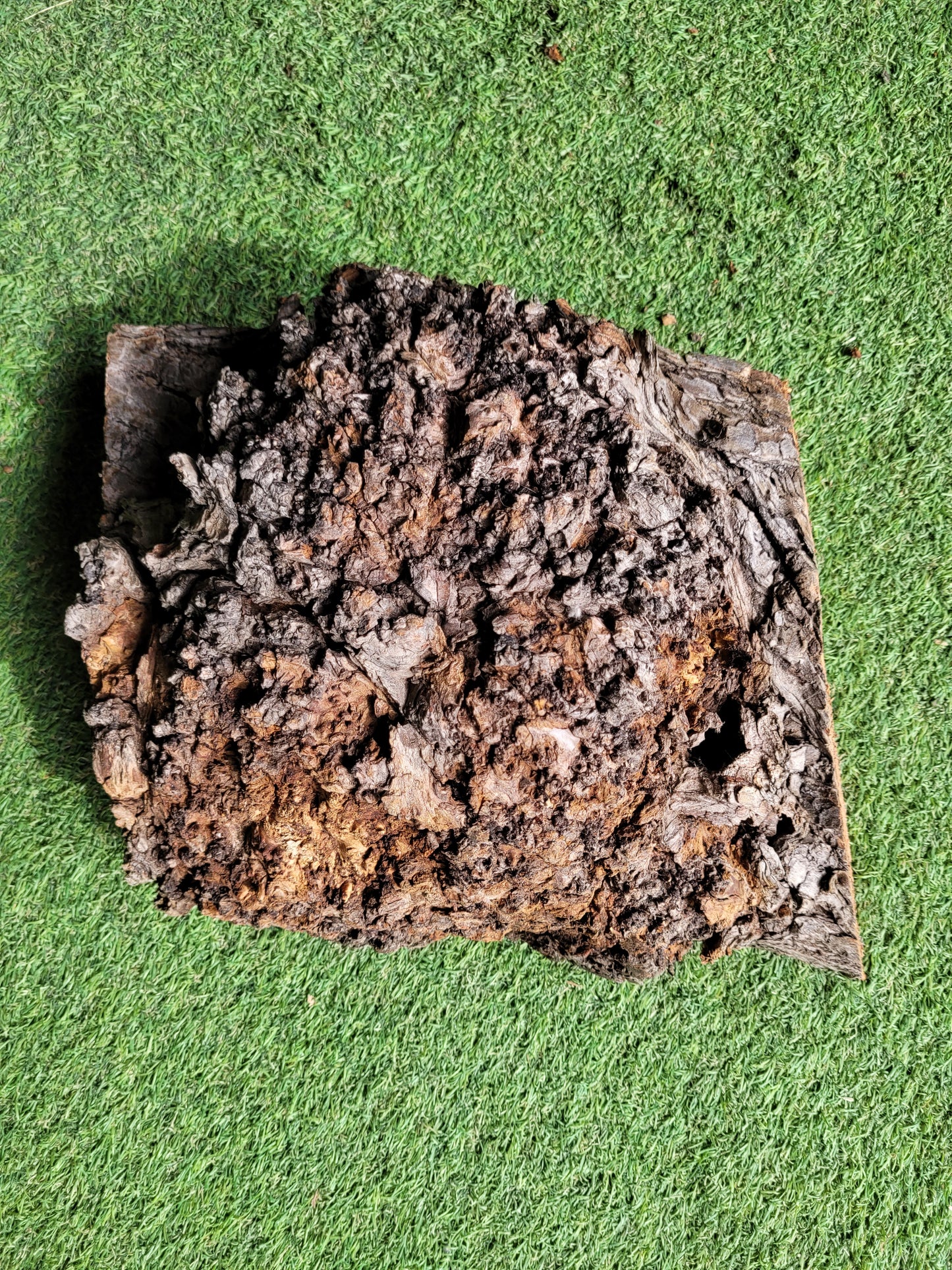 Carpathian Elm Burr Woodturning Blank (2714)
