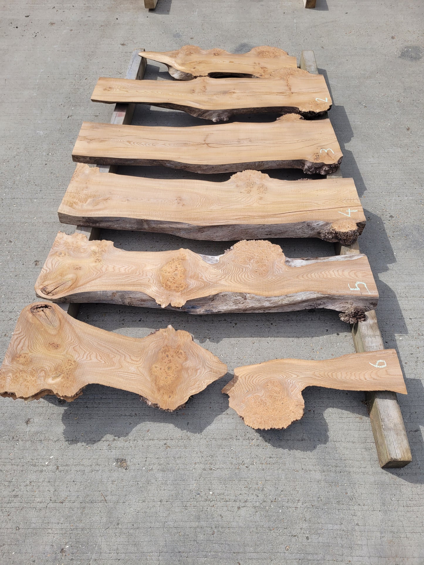 Burr Elm Live Edge Boards 1.25m (101b)
