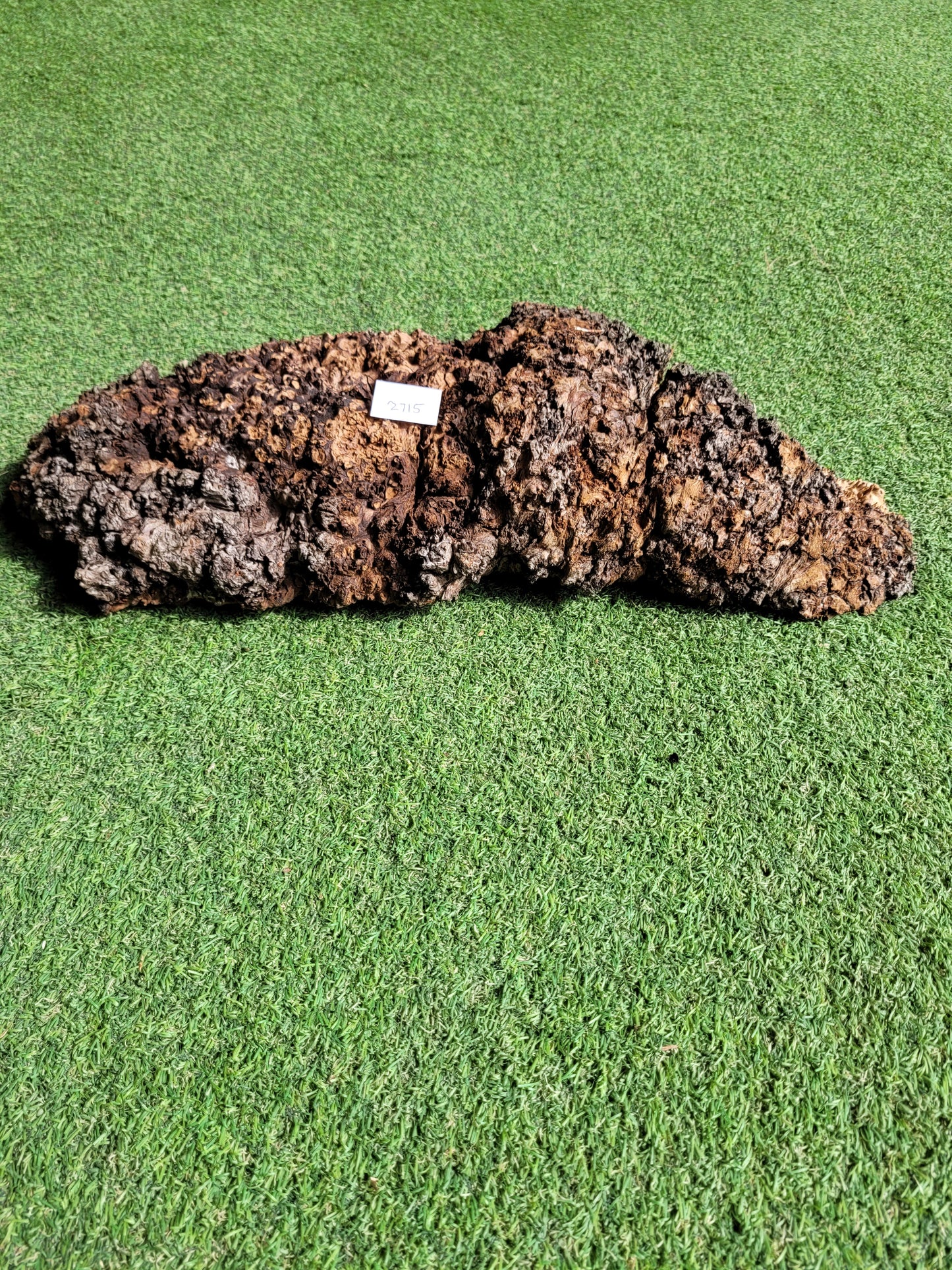 Carpathian Elm Burr Woodturning Blank (2715)