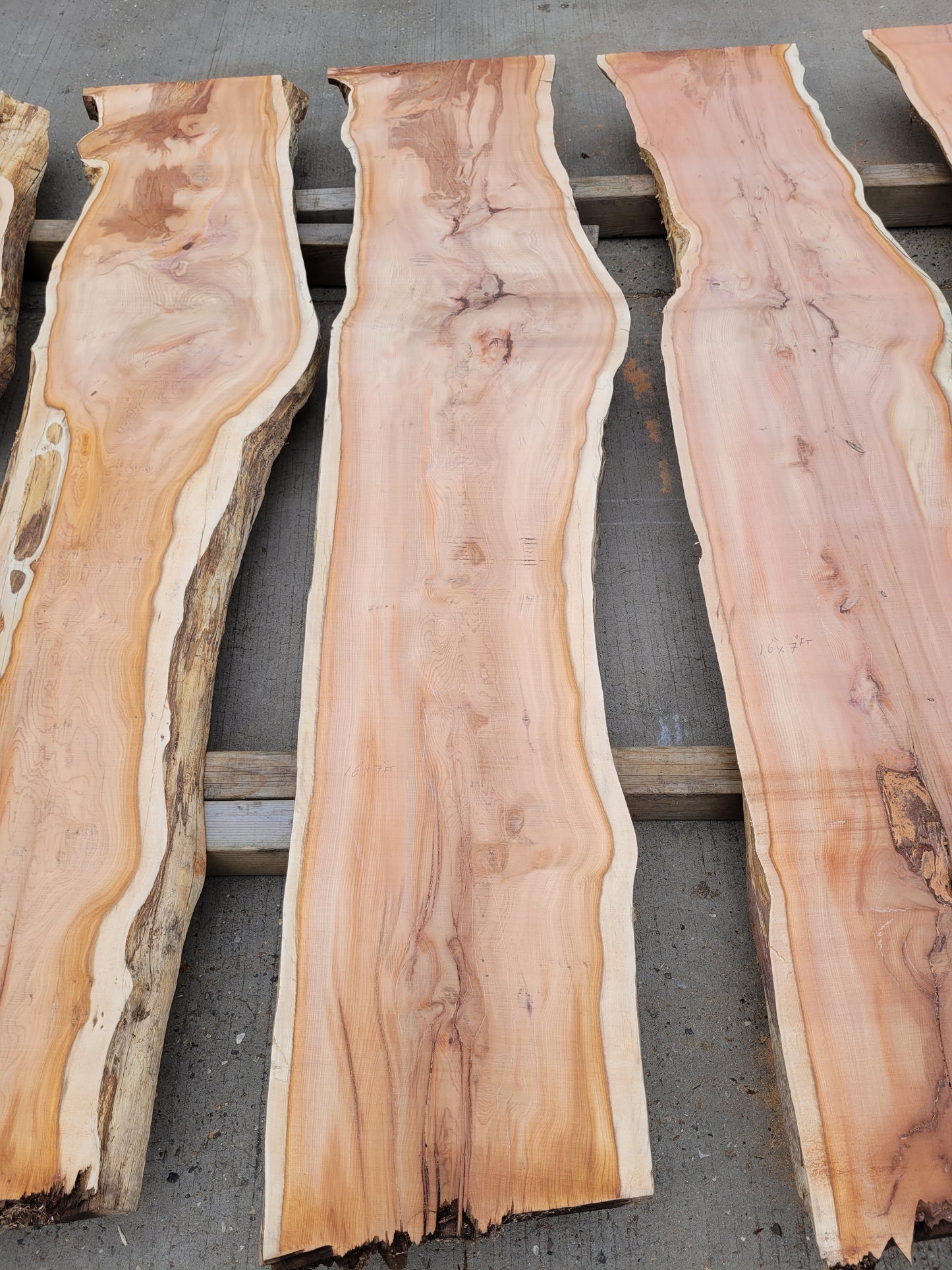 Yew Log 2.1m Long 8ft3 (Y1)