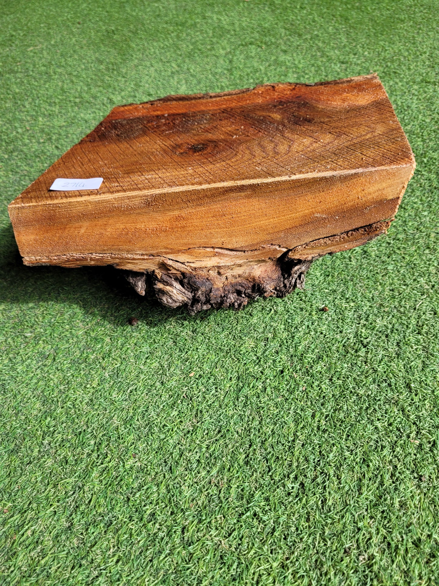 Carpathian Elm Burr Woodturning Blank (2714)