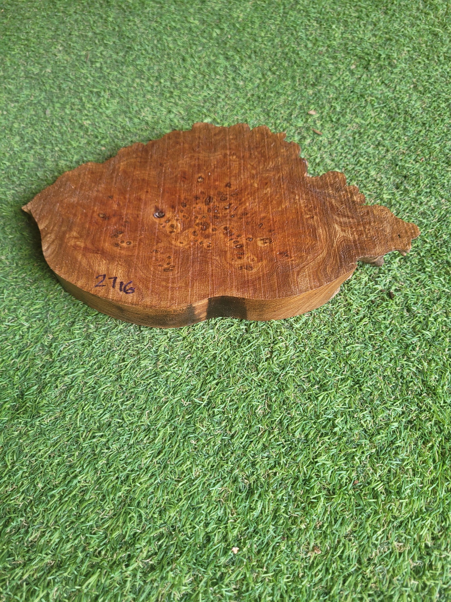 Burr Elm Woodturning Blank 25x17x2.3cm (2716)
