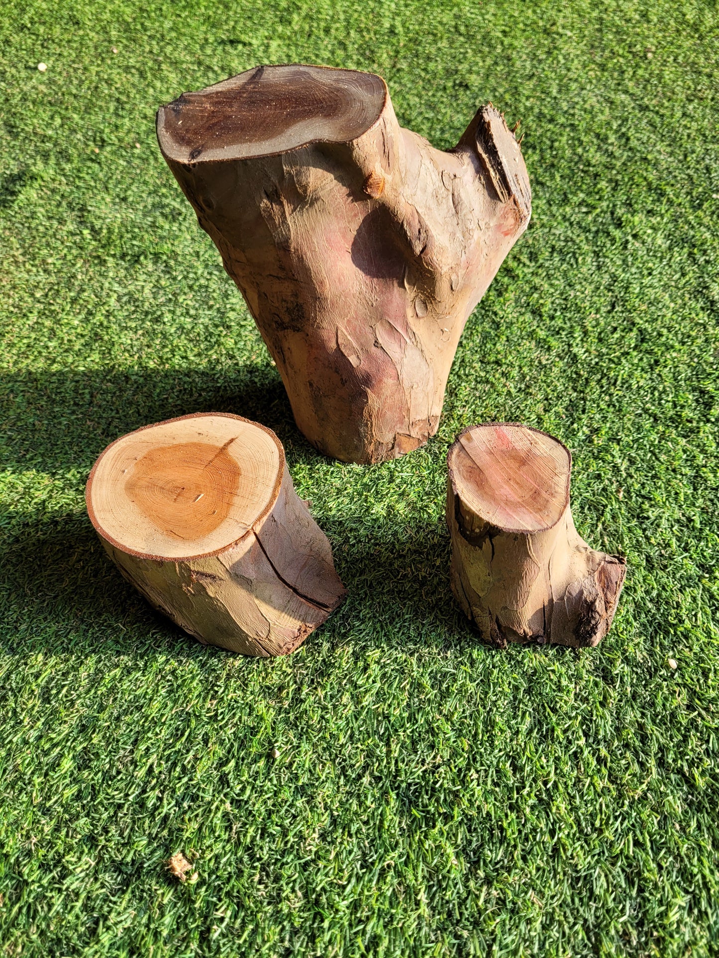 Oak & Yew Offcuts Pack (2614)