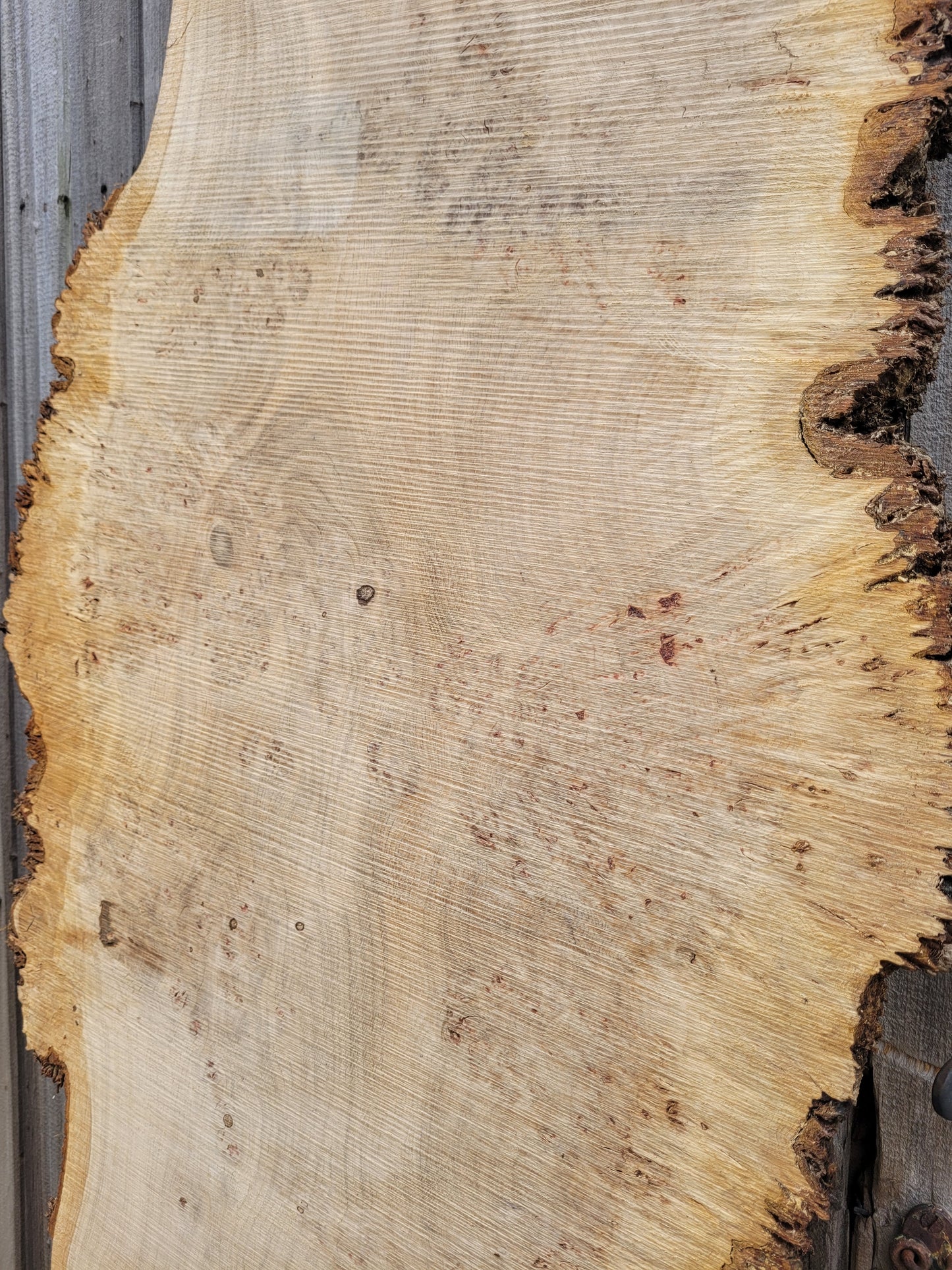Burr Oak Live Edge Board (108/3)