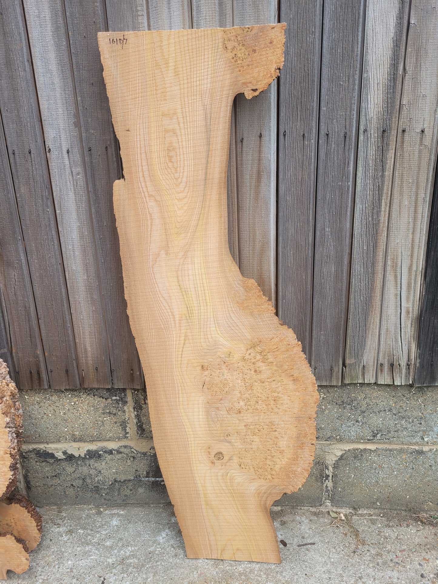 Burr Elm Live Edge Boards (101d/2-7)