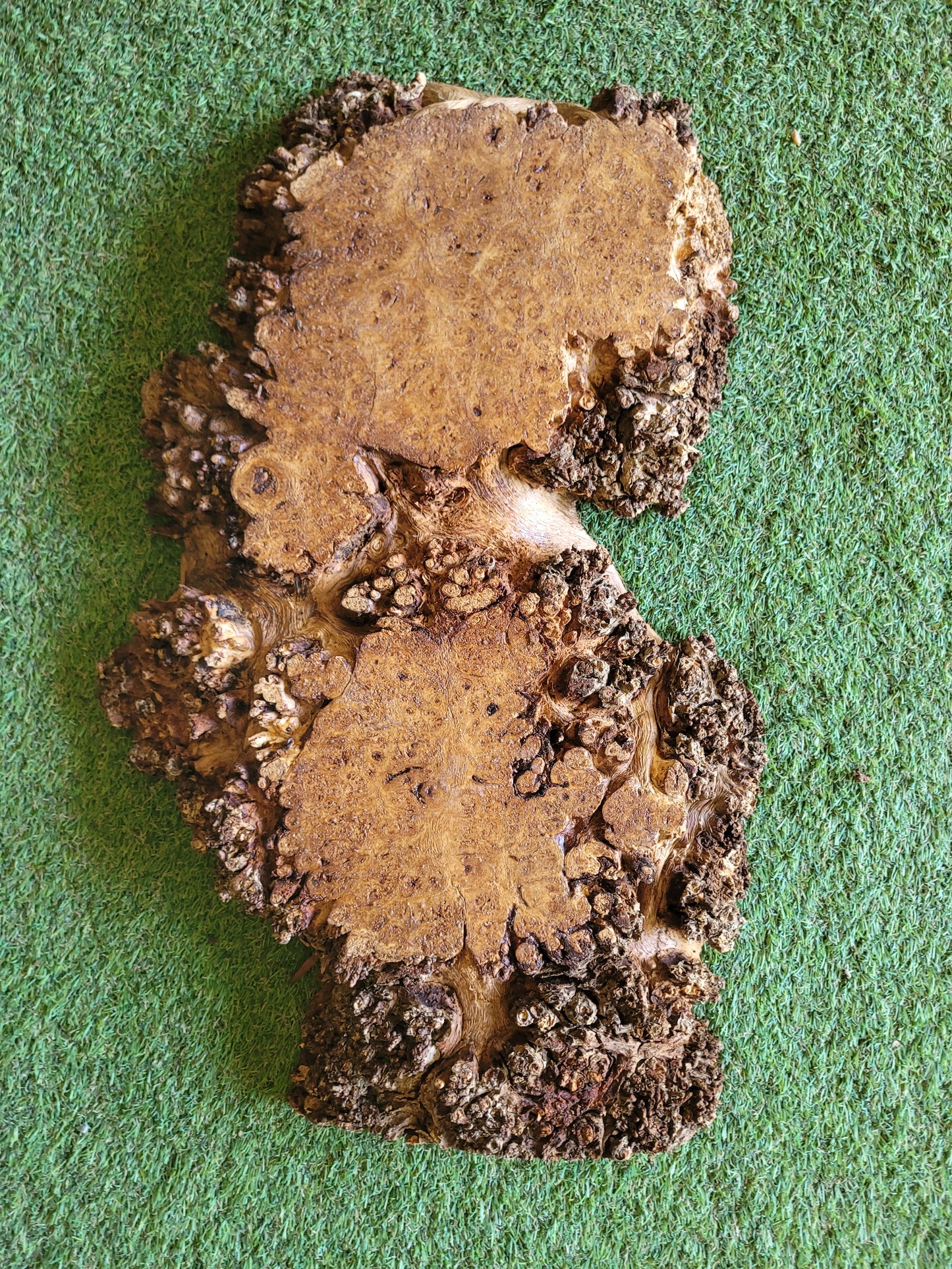 Burr Oak Woodturning Blank 51x30x5cm (B28)