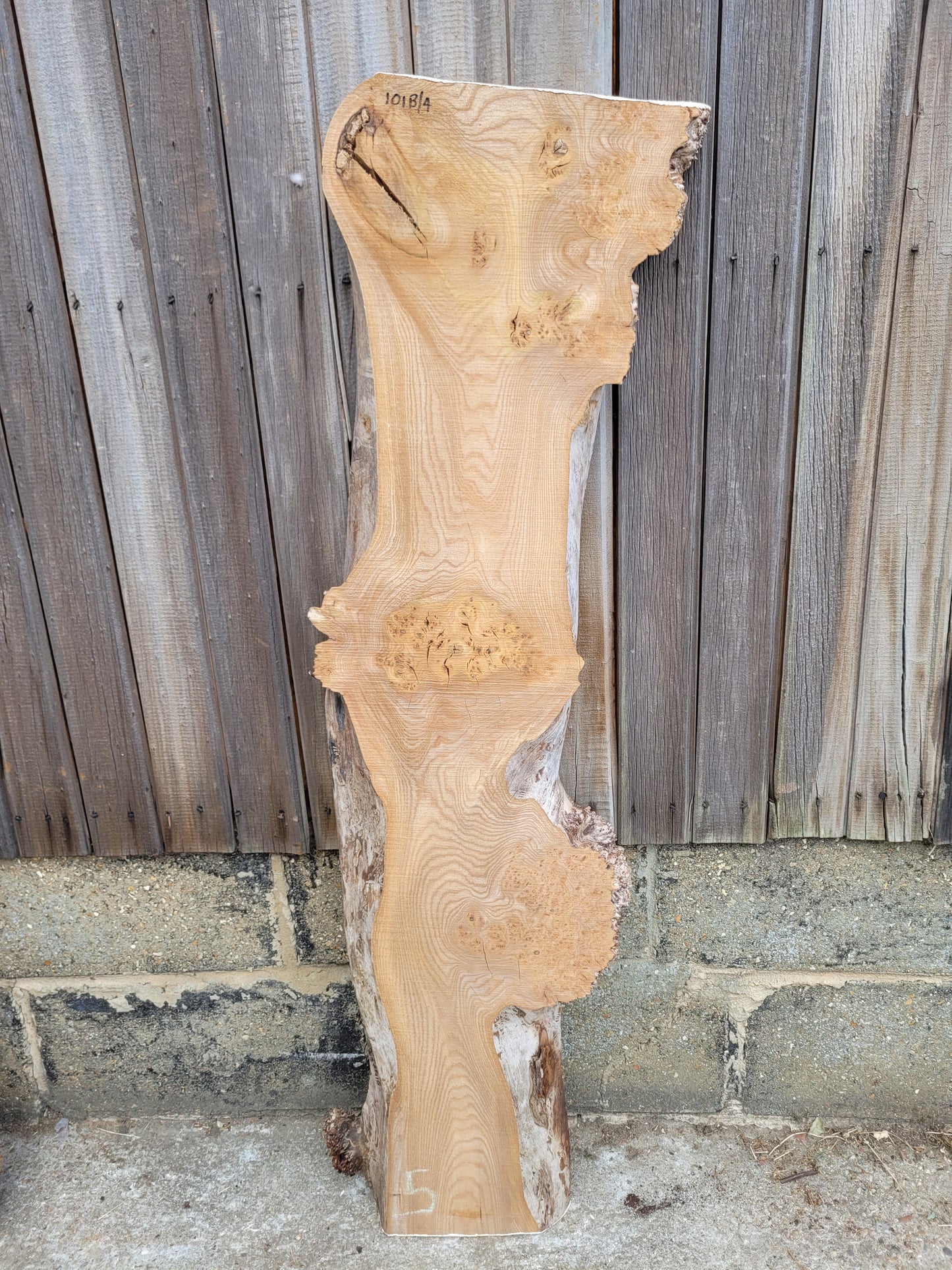 Burr Elm Live Edge Boards (101b/1-4)