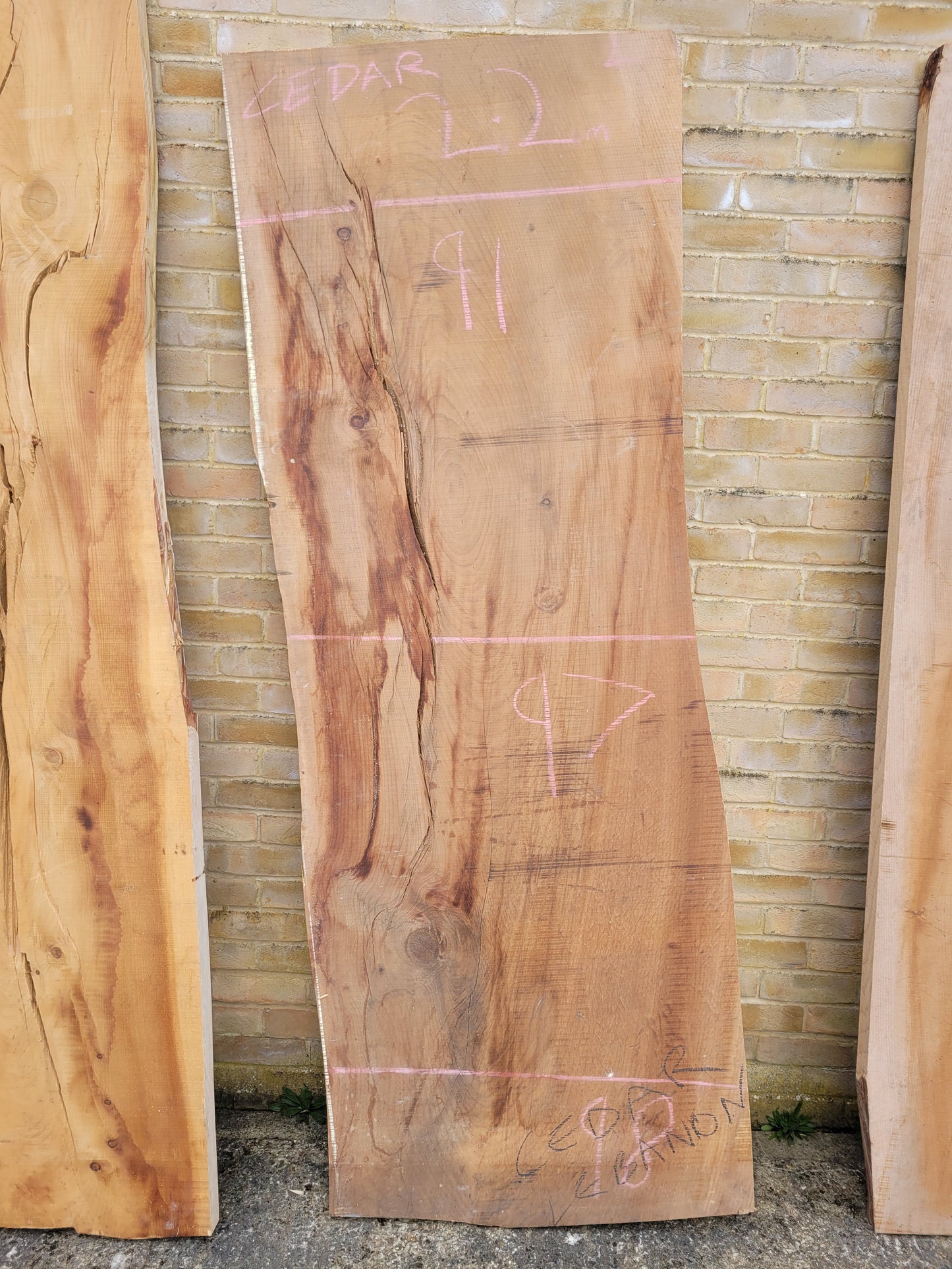 Cedar of Lebanon Slabs Bar Top Table Top