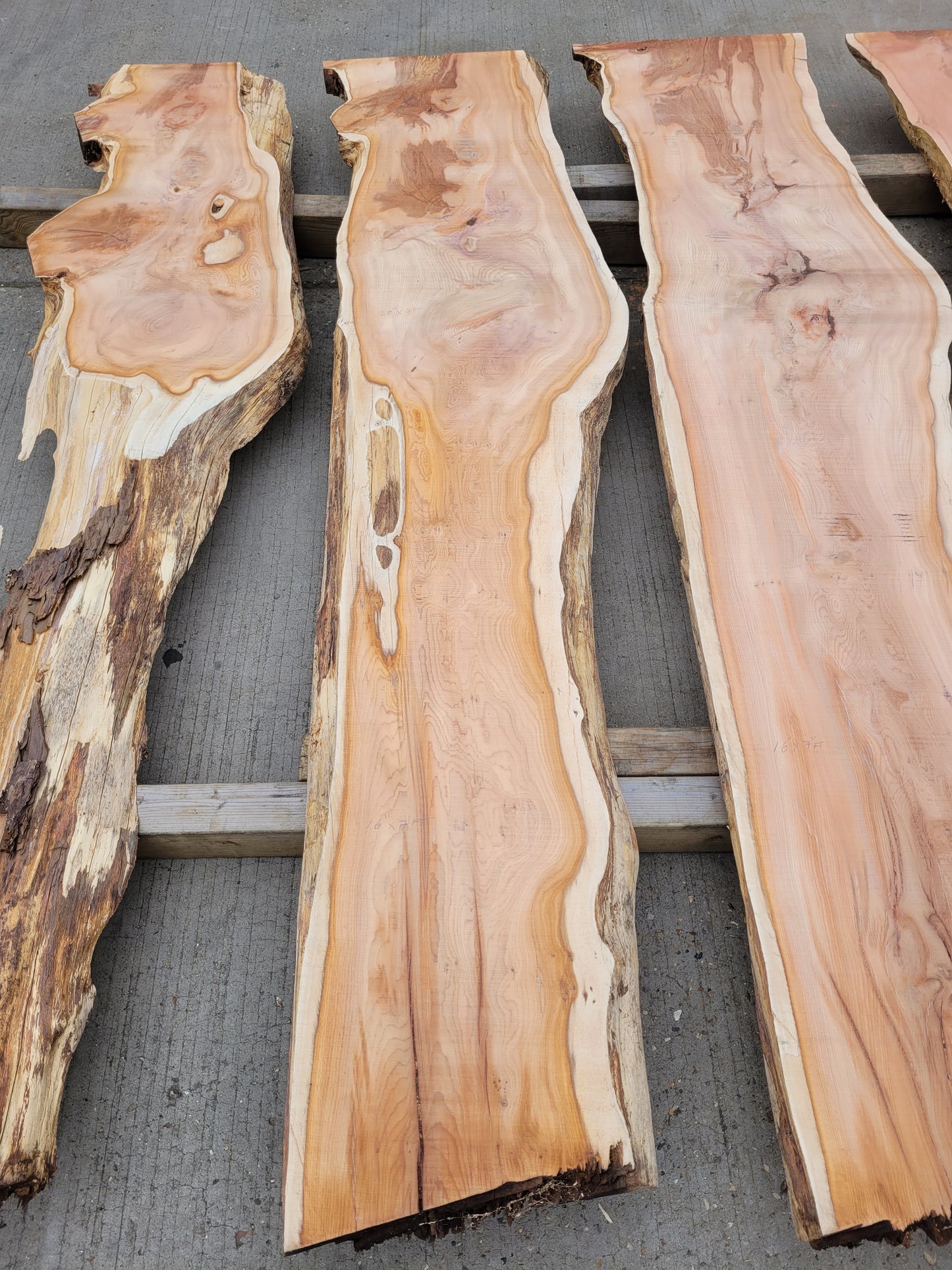 Yew Log 2.1m Long 8ft3 (Y1)