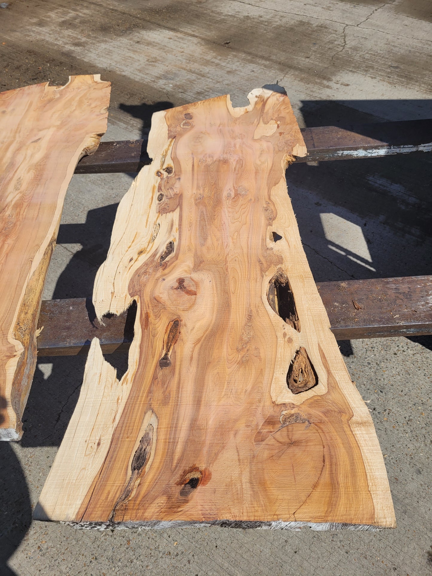 Yew Log 1.24m 8.6 ft3 (Y3)