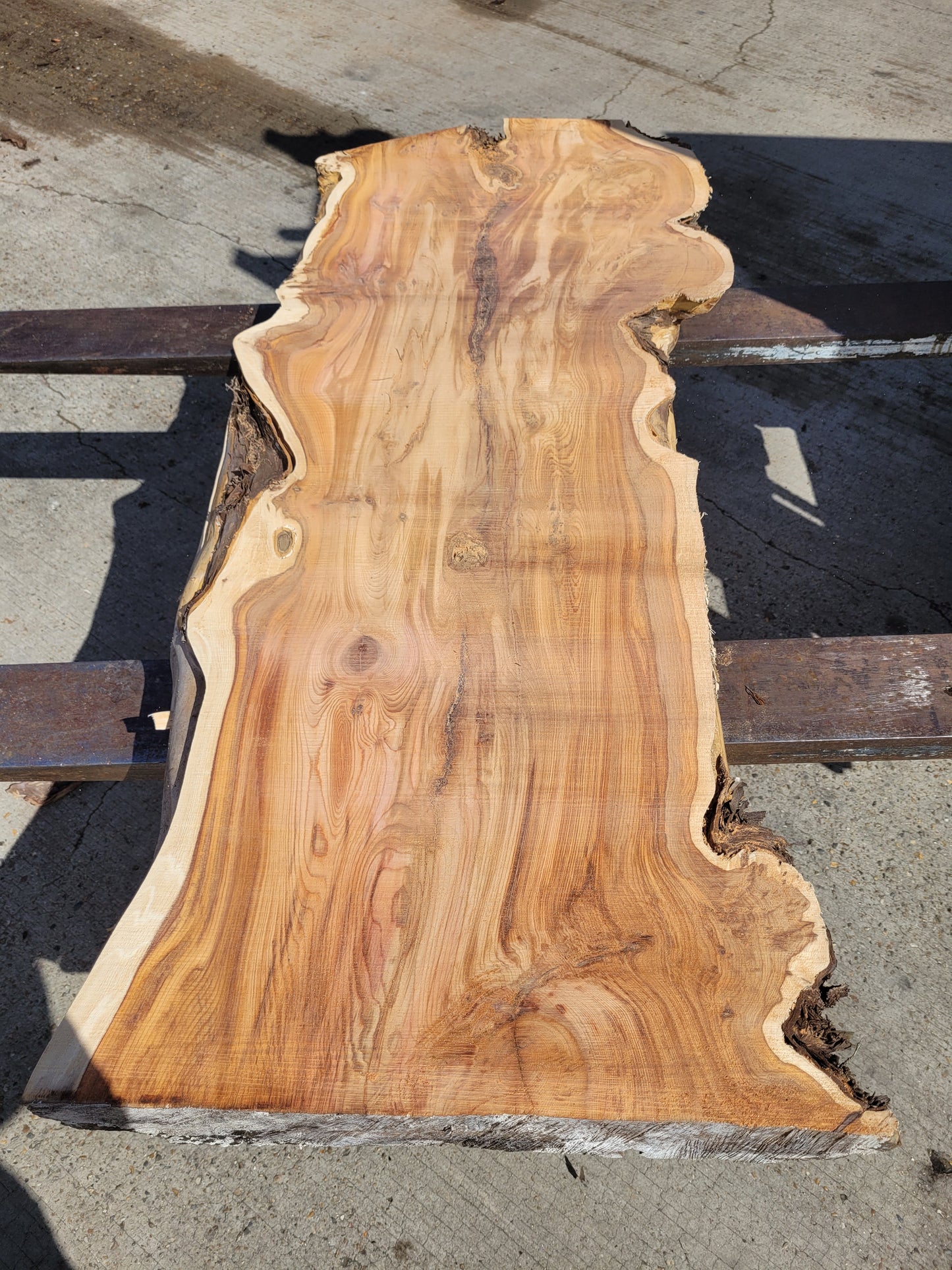 Yew Log 1.24m 8.6 ft3 (Y3)