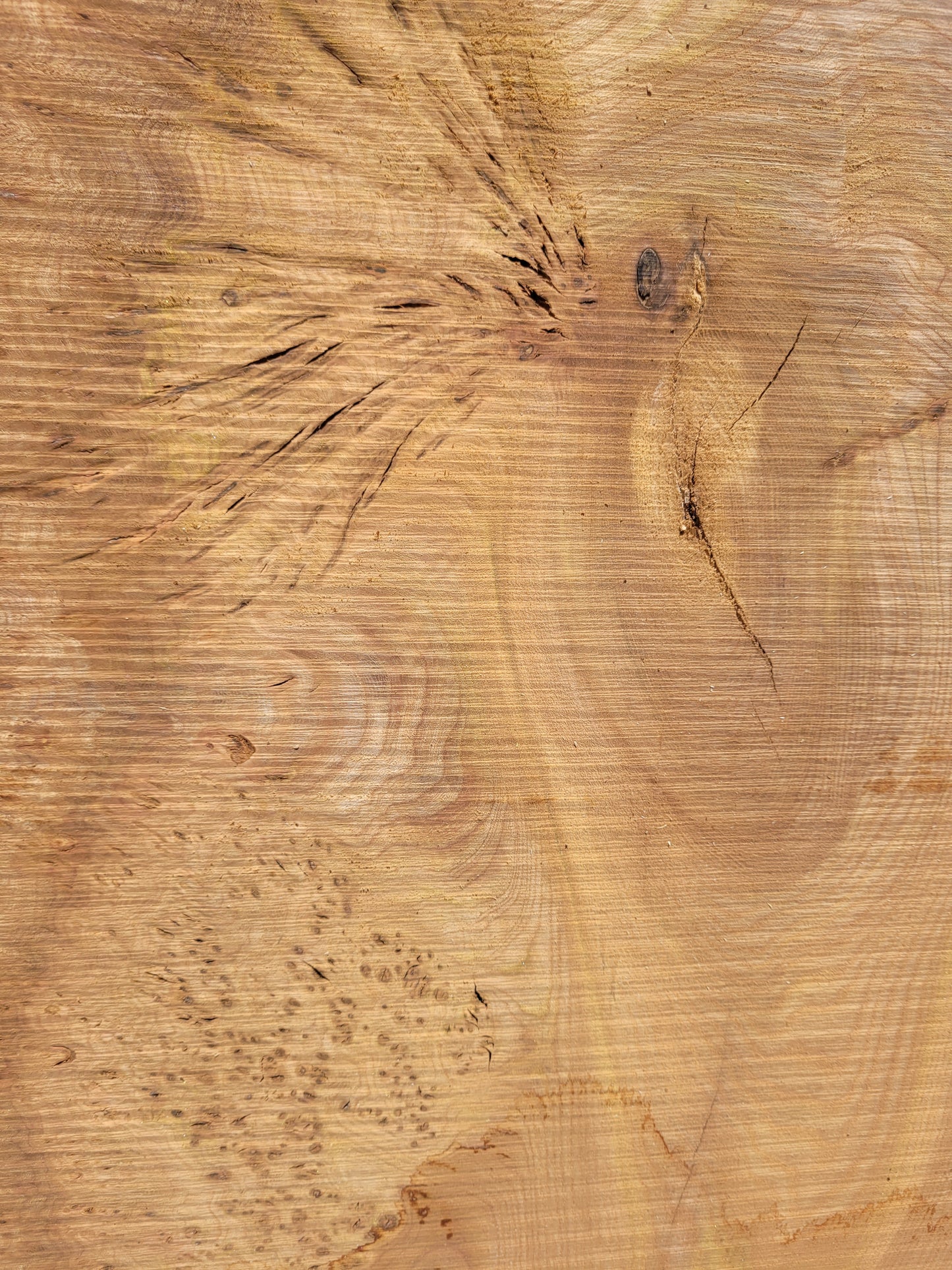 Burr Elm Live Edge Boards (101f/1&2)