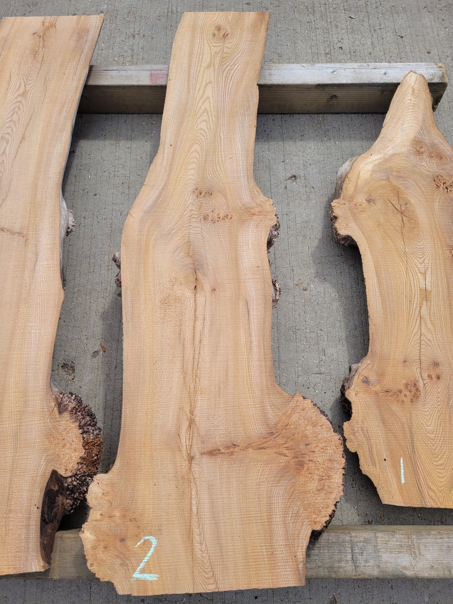Burr Elm Live Edge Boards 1.25m (101b)