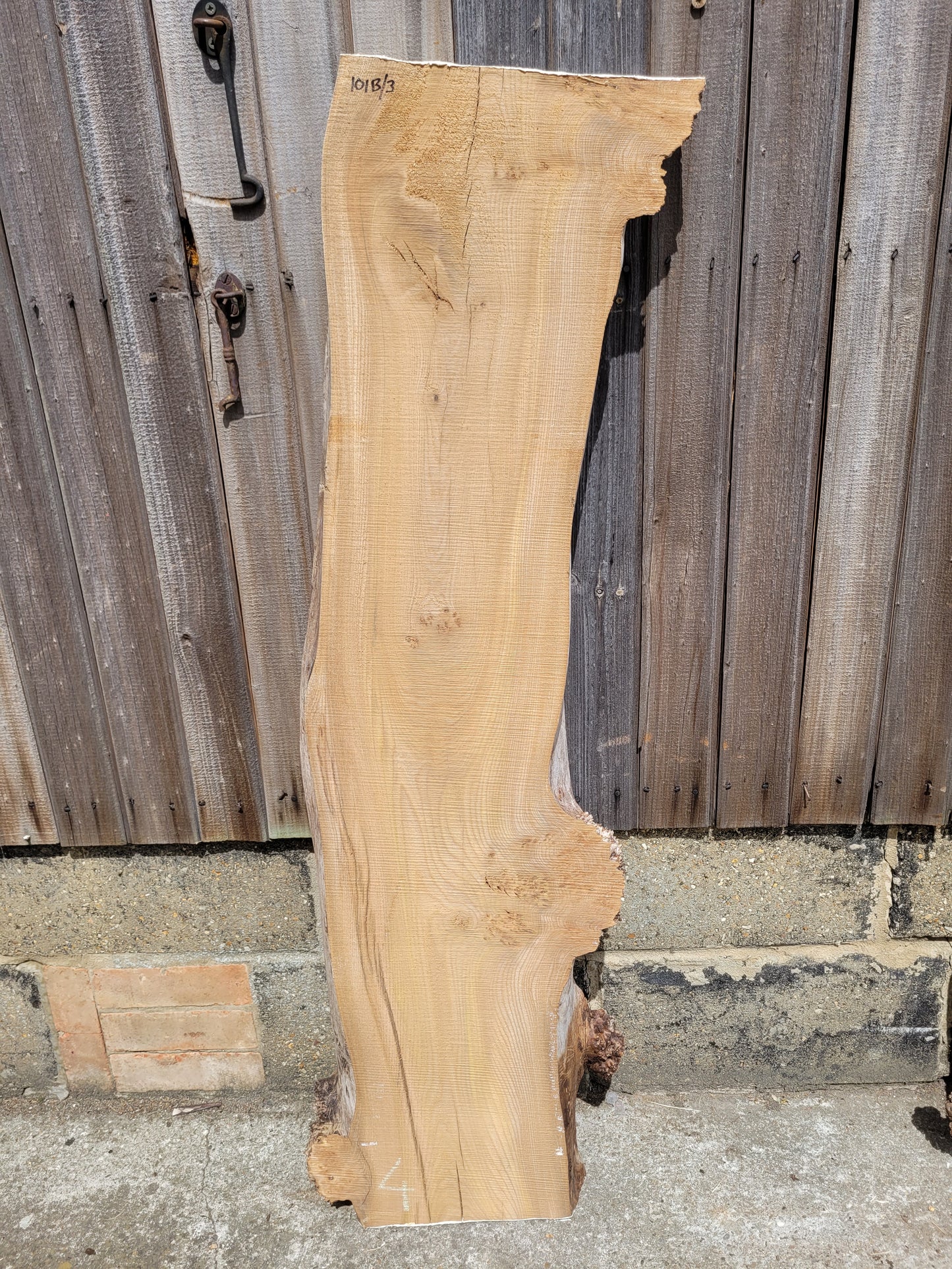 Burr Elm Live Edge Boards (101b/1-4)