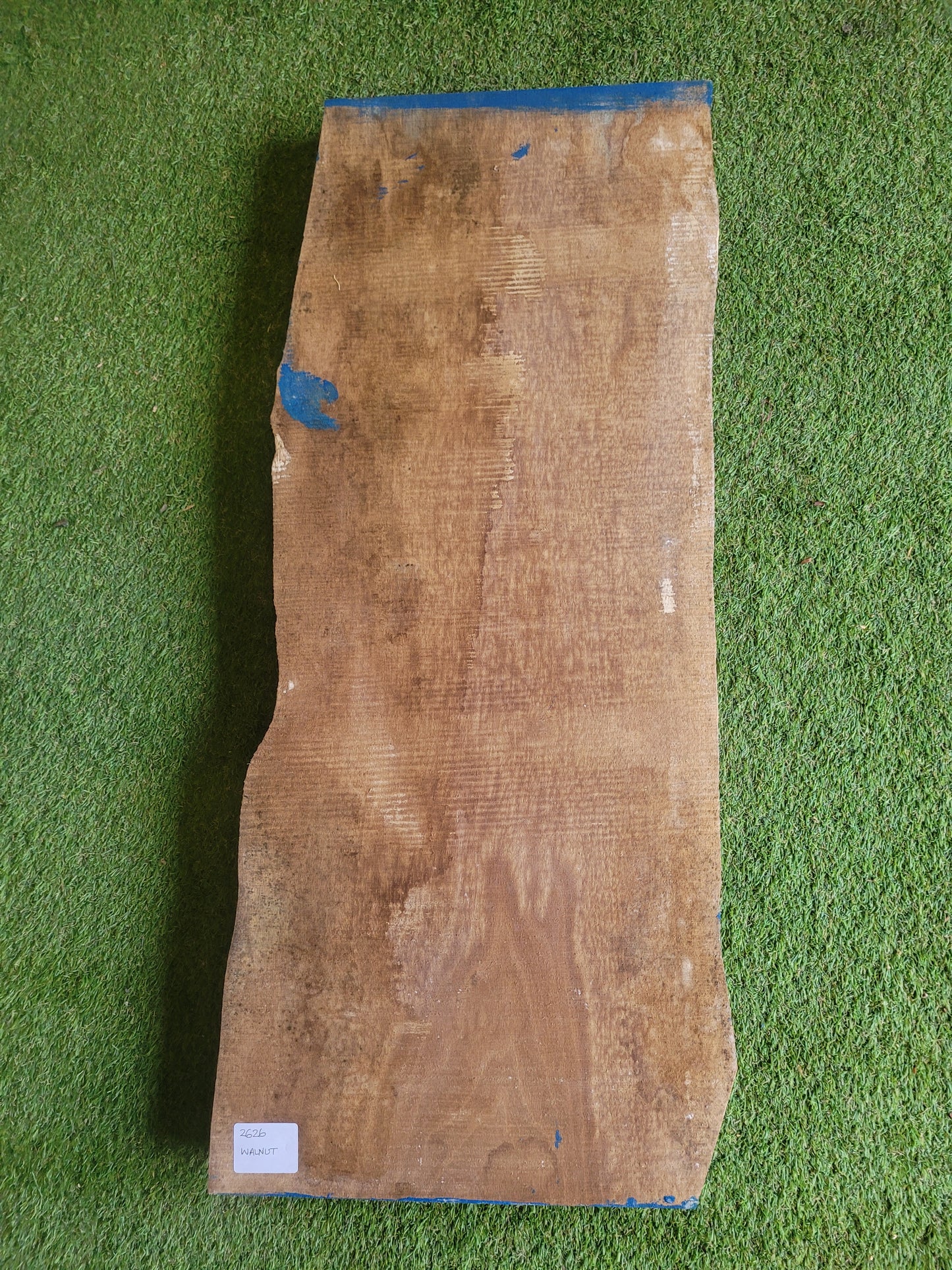 English Walnut Slab Live Edge Board Table Top (2626)