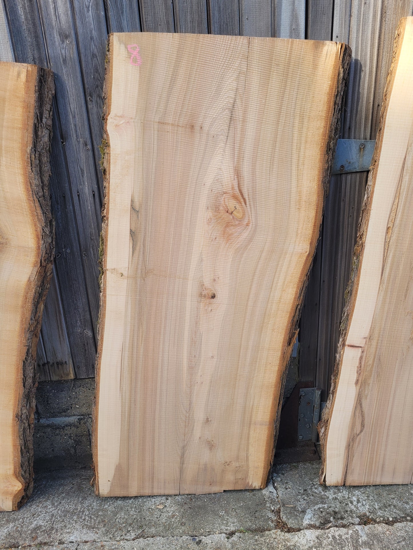 Elm Log 1.5m 22 ft3 Stunning (100)