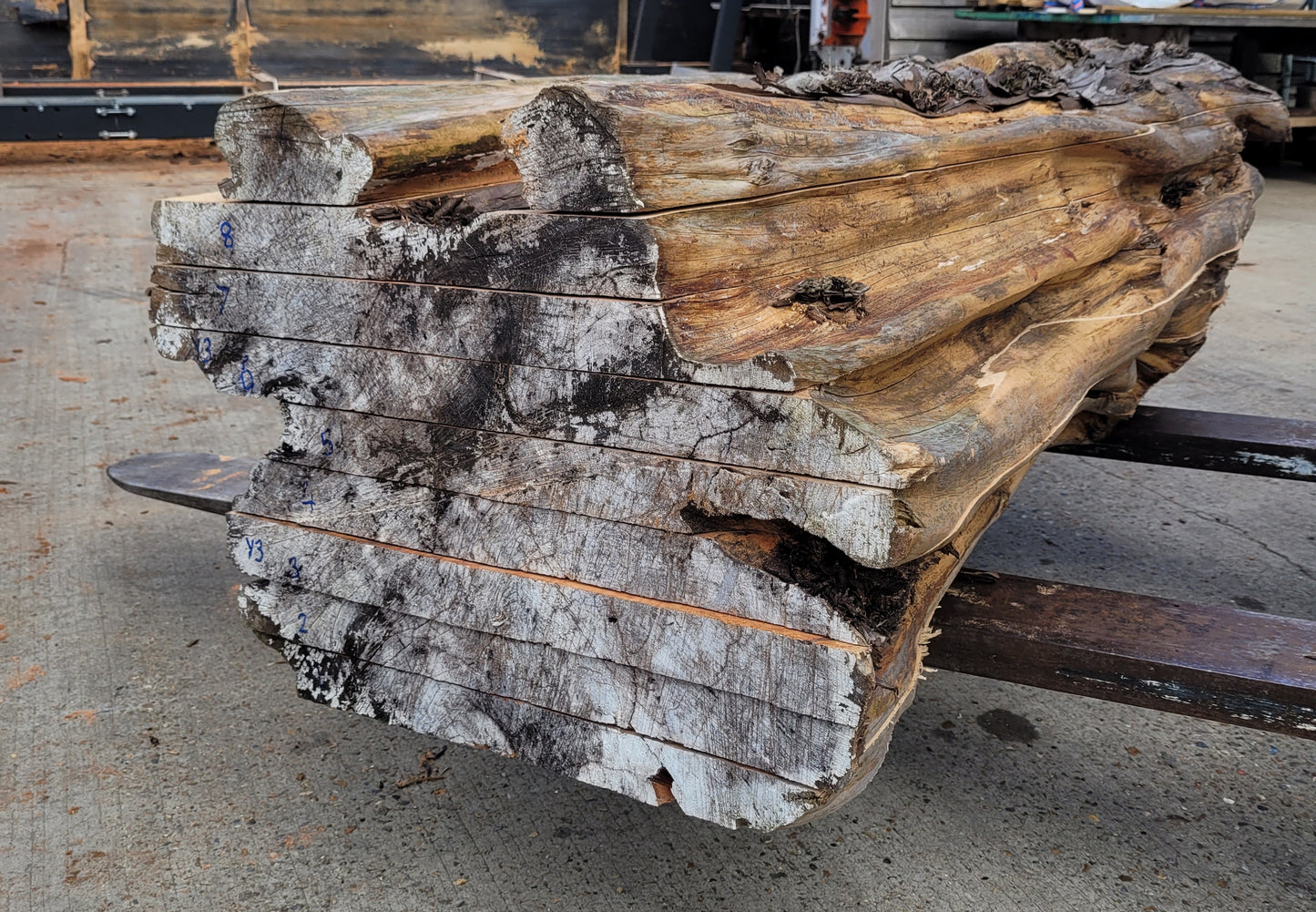 Yew Log 1.24m 8.6 ft3 (Y3)