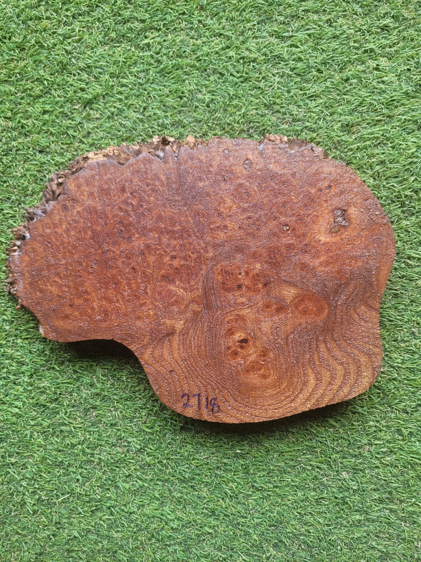 Burr Elm Woodturning Blank 23x17x2.3cm (2718)