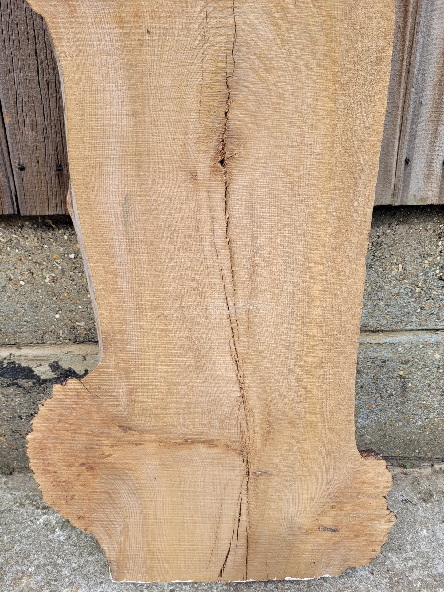 Burr Elm Live Edge Boards (101b/1&2)