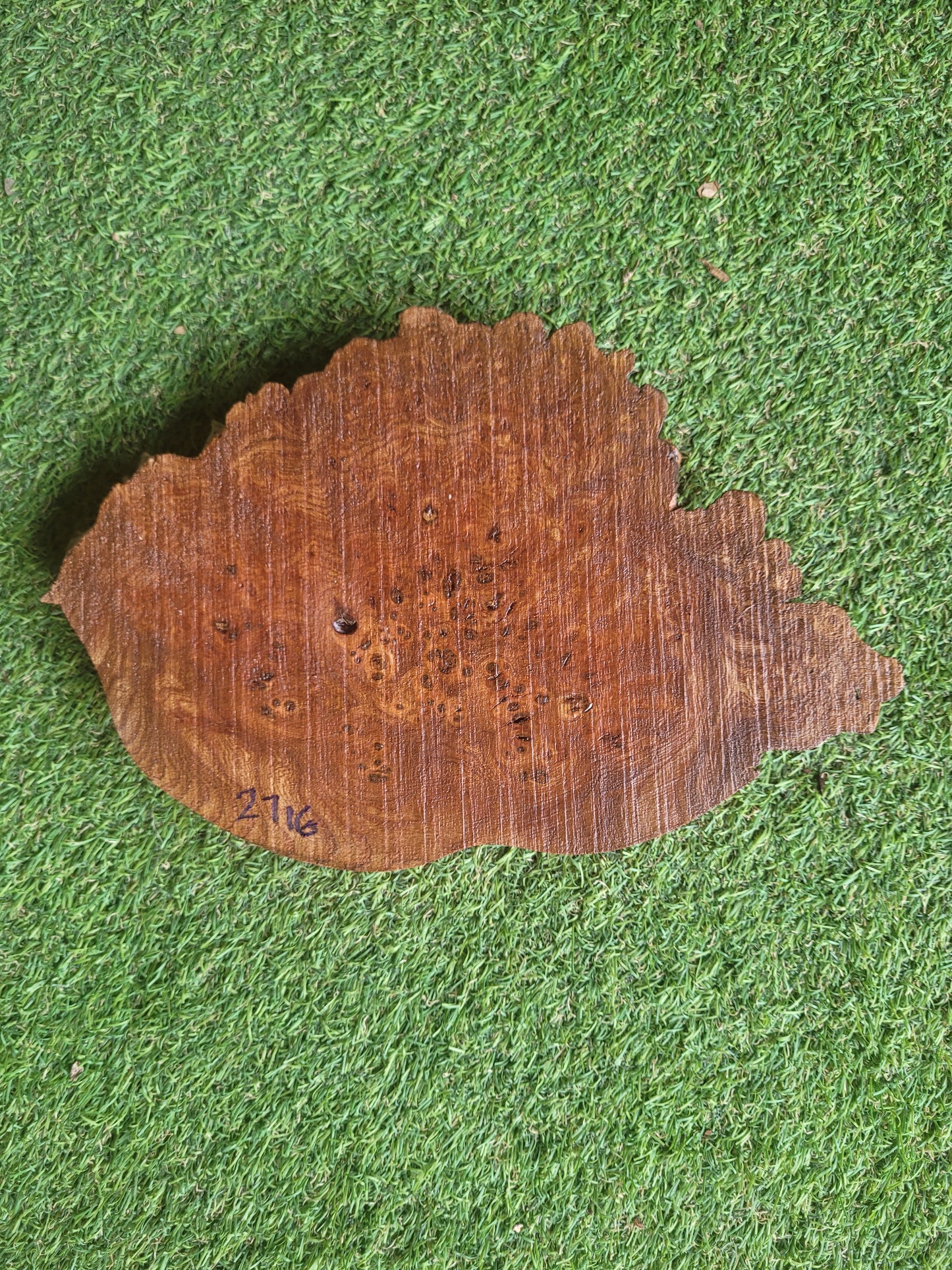 Burr Elm Woodturning Blank 25x17x2.3cm (2716)