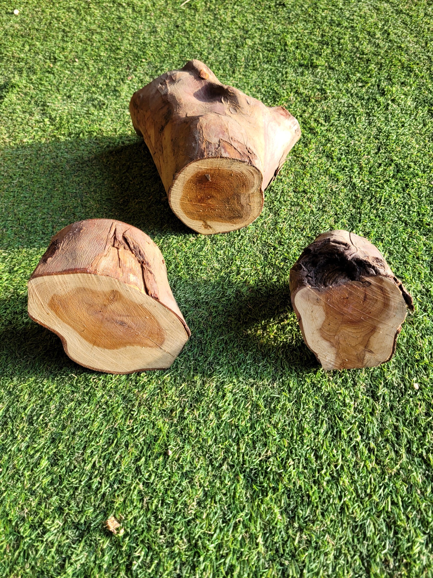 Oak & Yew Offcuts Pack (2614)